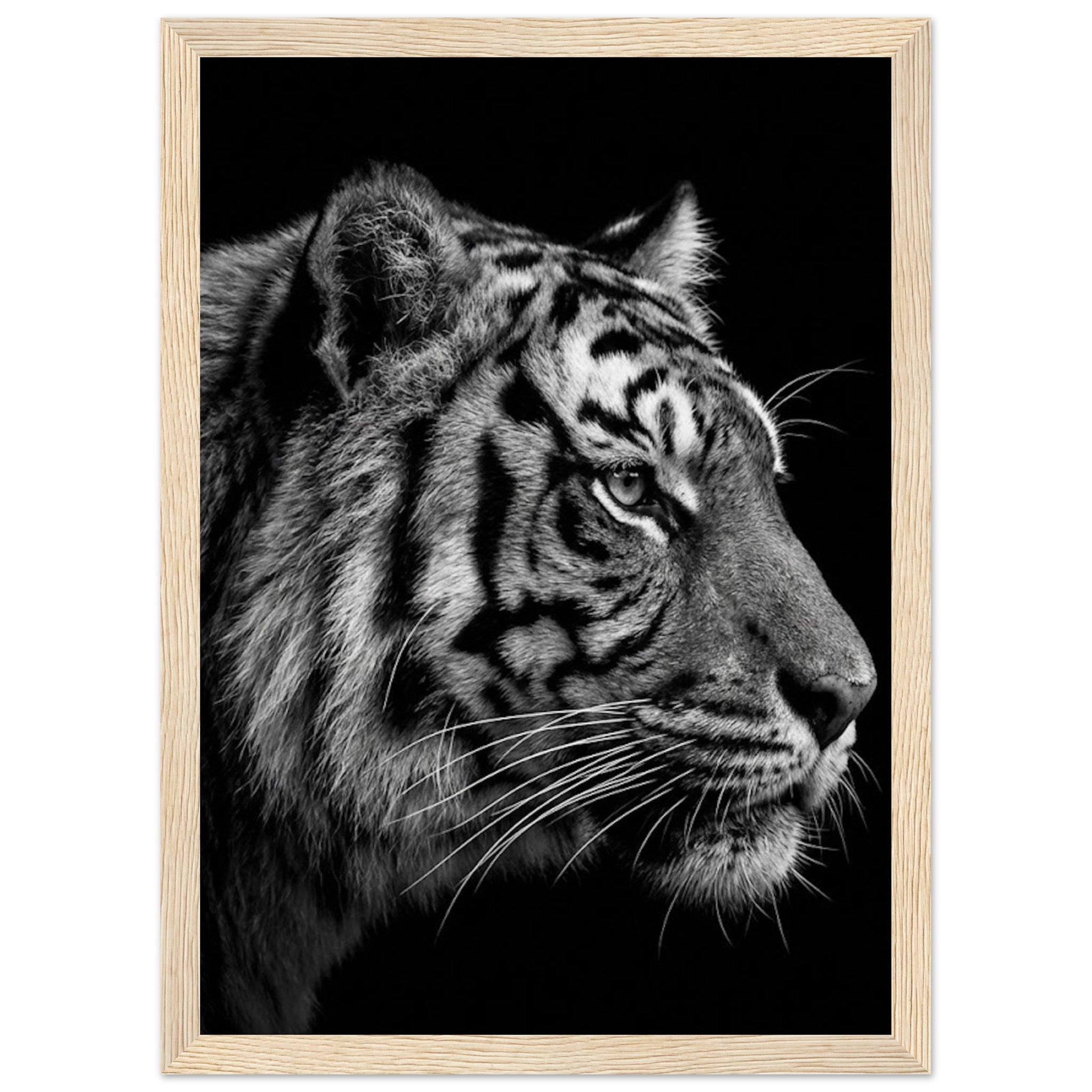 c50670e4-44a1-41ad-9dc1-ac6cf80a38a0