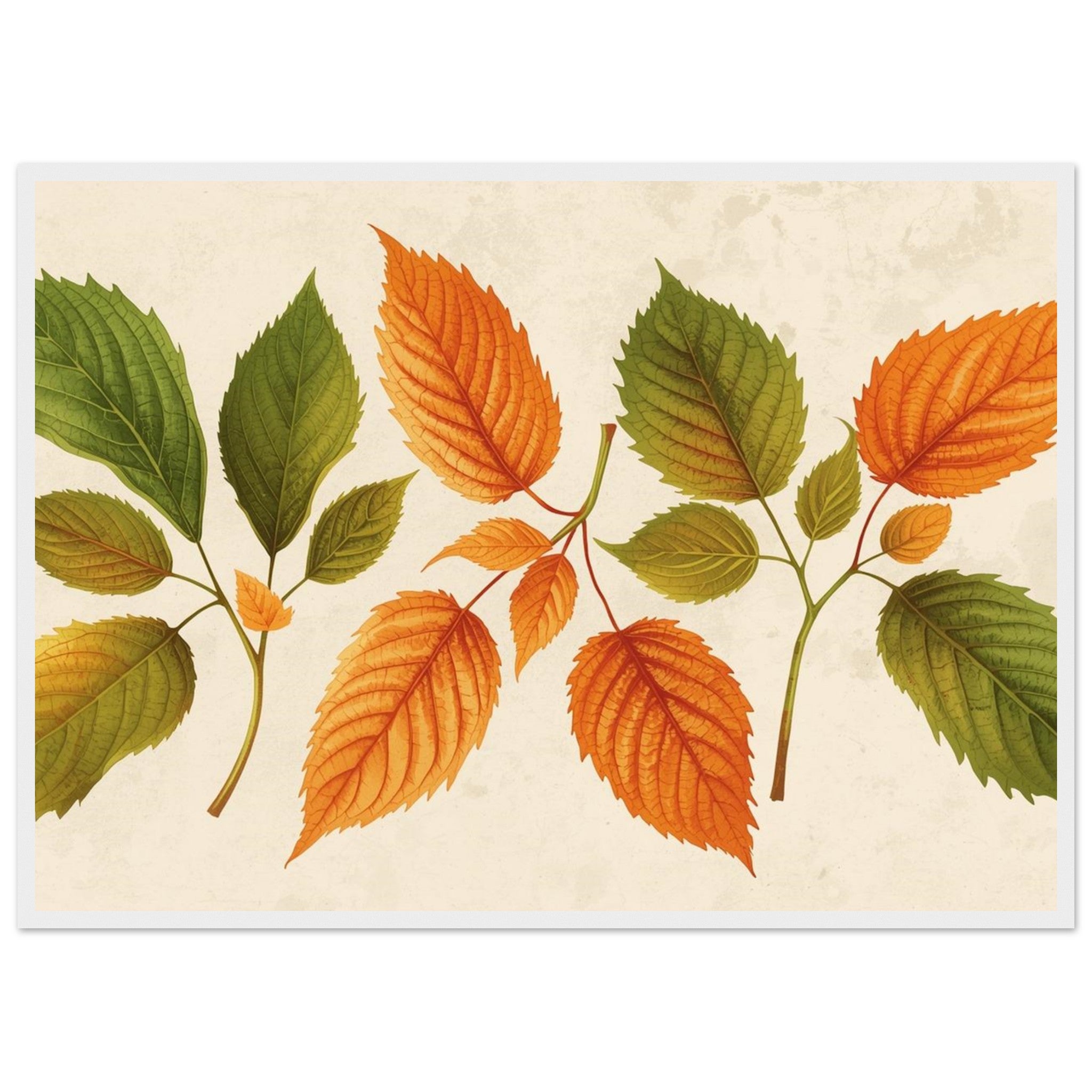 c56f19c8-c02d-4cad-a1b9-9219716bb0ff