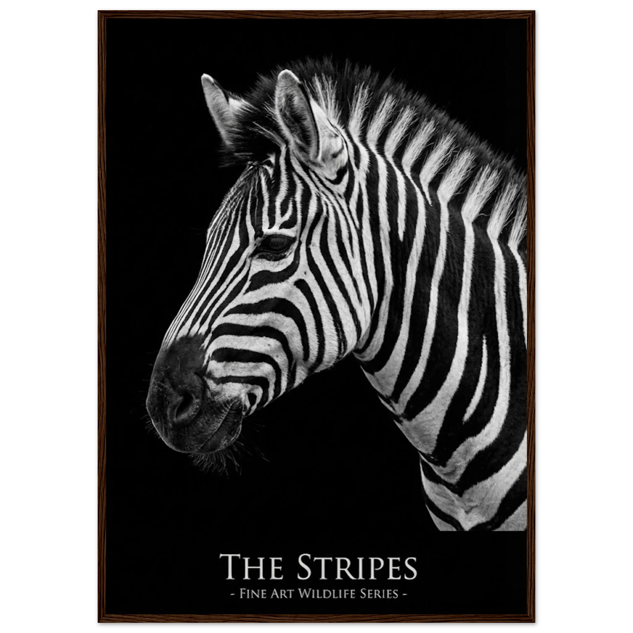 c5e9ae3b-eb73-486d-a9ad-30826f4e9764