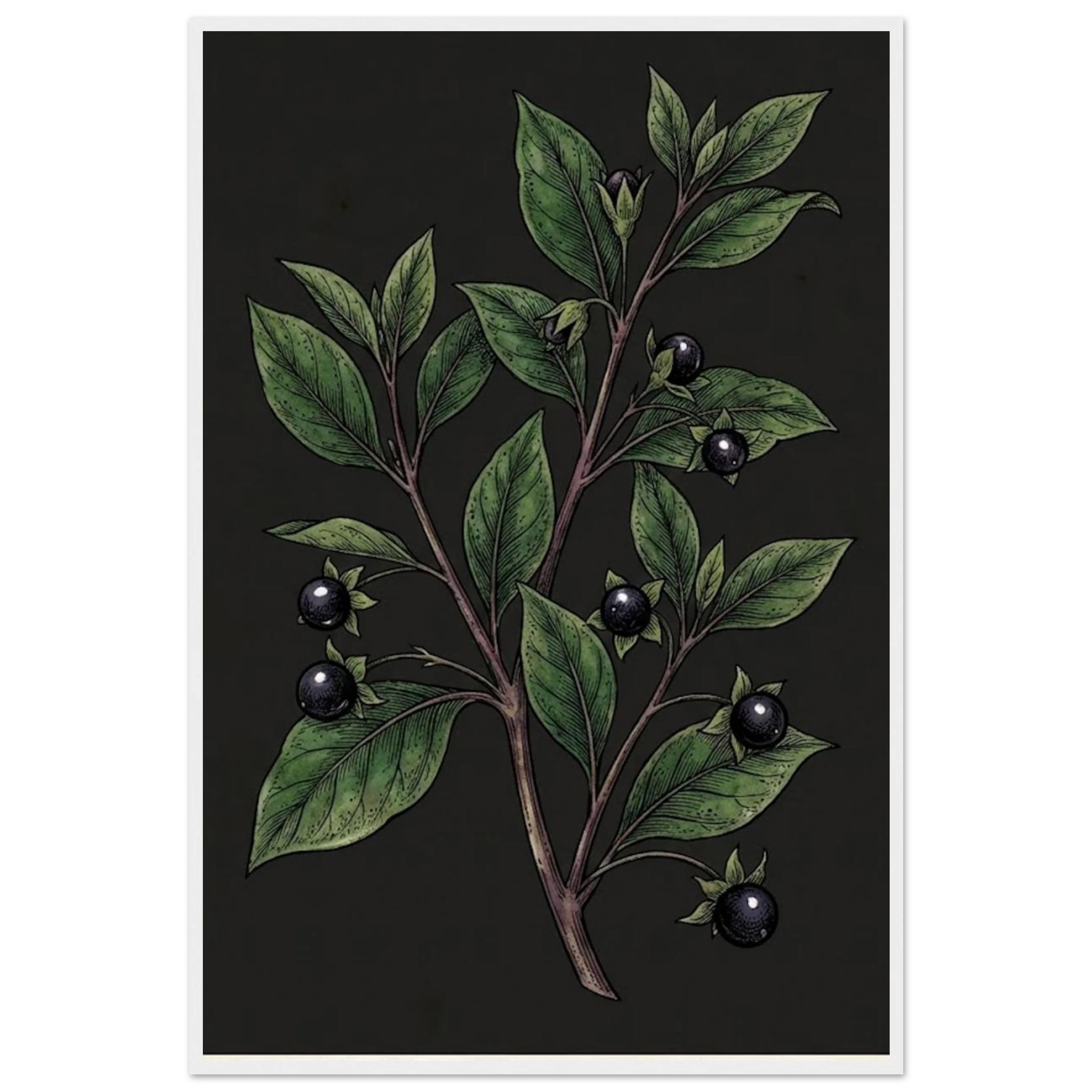 c5f04797-f773-40e4-bc5c-b5e4b29470e8