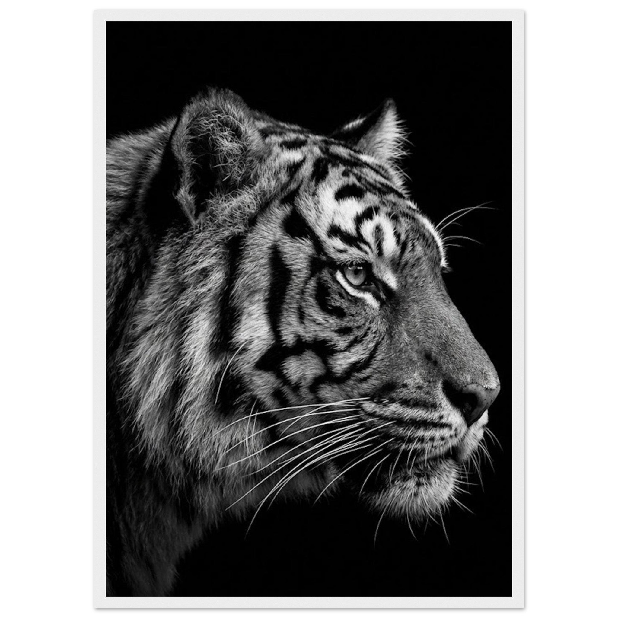 c763bbb0-2f87-4134-b5d3-afdfbd7ff00e