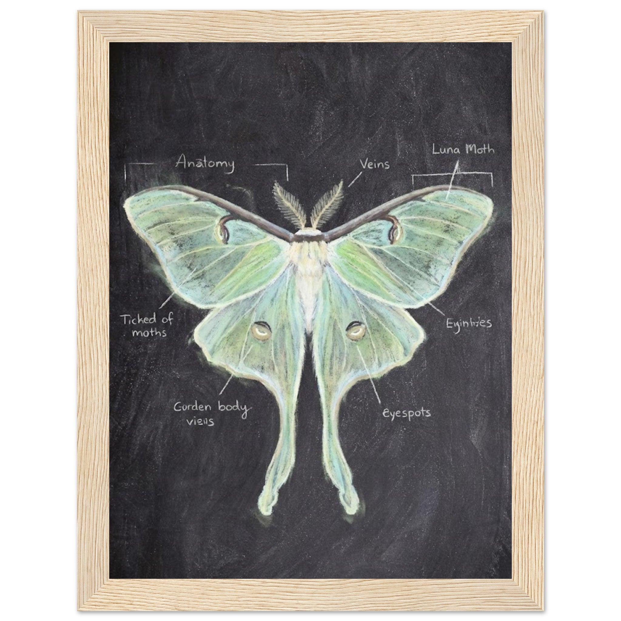 c7a72432-083d-44a4-8ab6-72be0f23d8b5