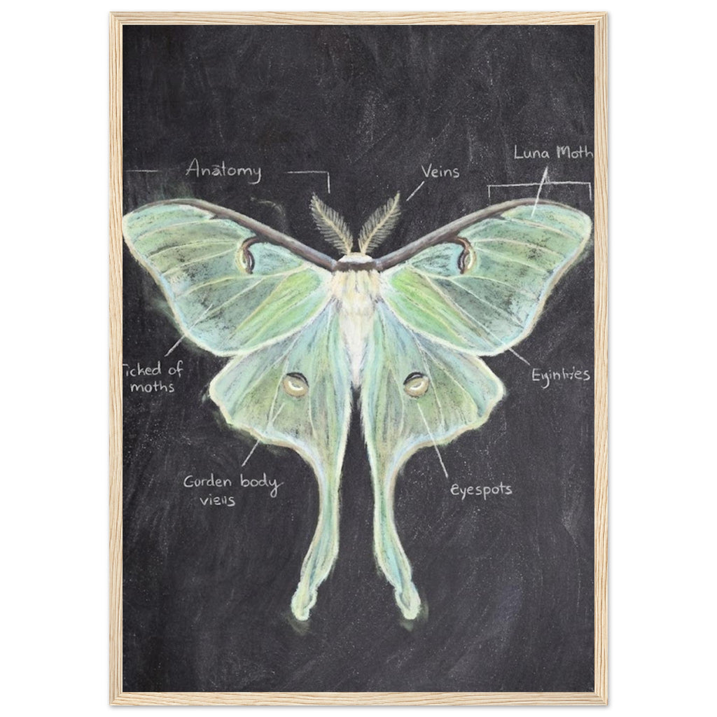 c884a36b-364f-44d0-8027-1b0a555ca87f