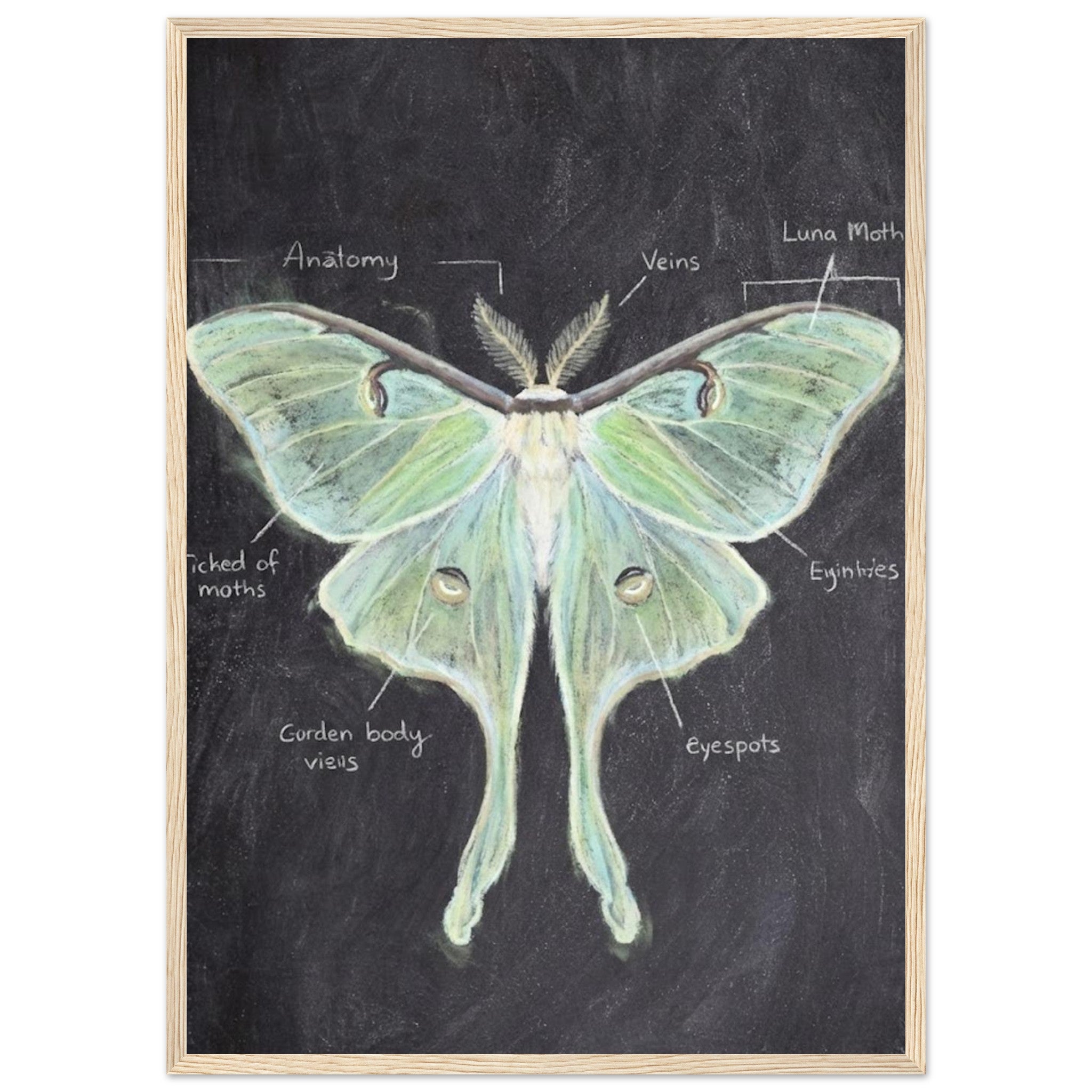 c884a36b-364f-44d0-8027-1b0a555ca87f