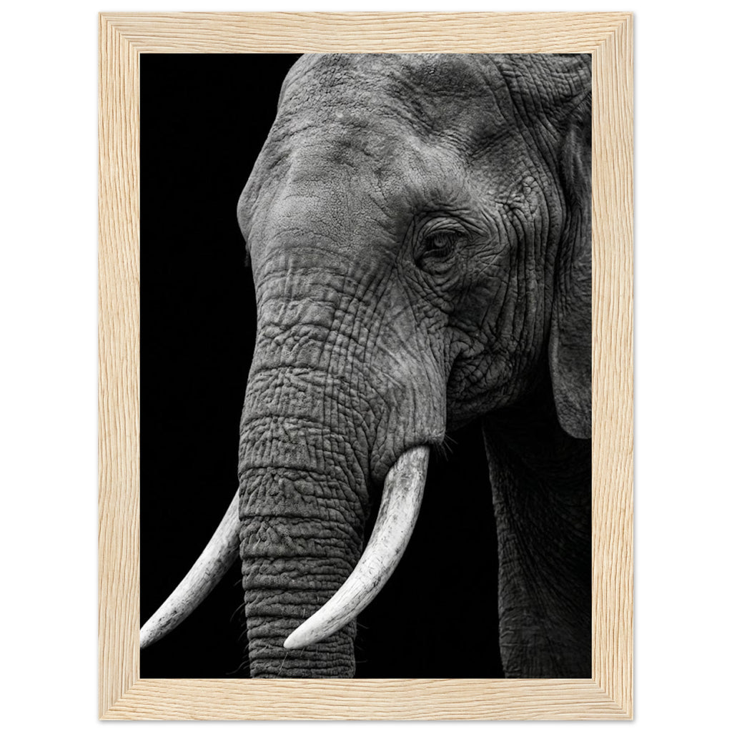 c8a5b9b5-1e44-4710-8754-83d673e54b7a