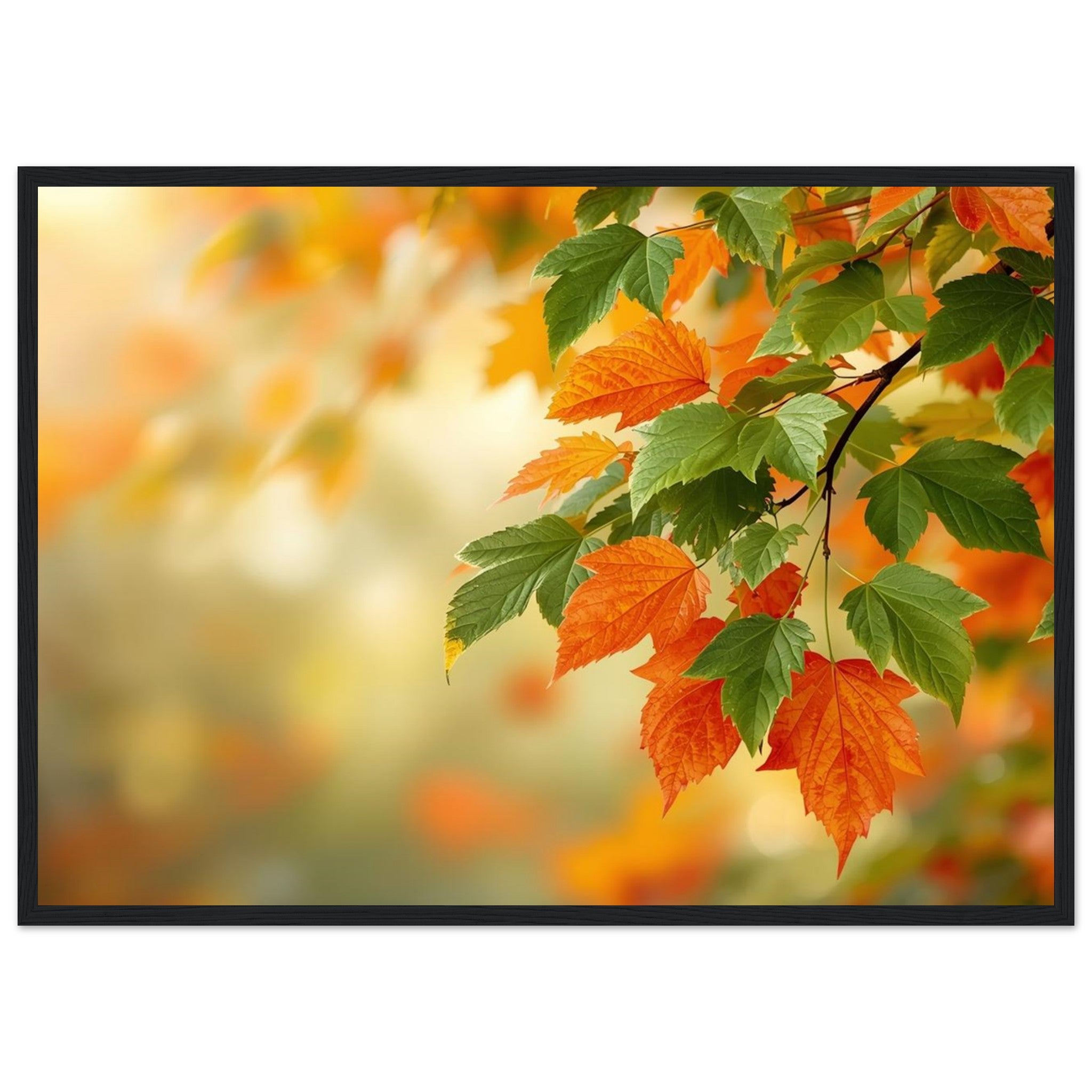 c95fad9e-9520-435a-93be-ff8ee0594eb4