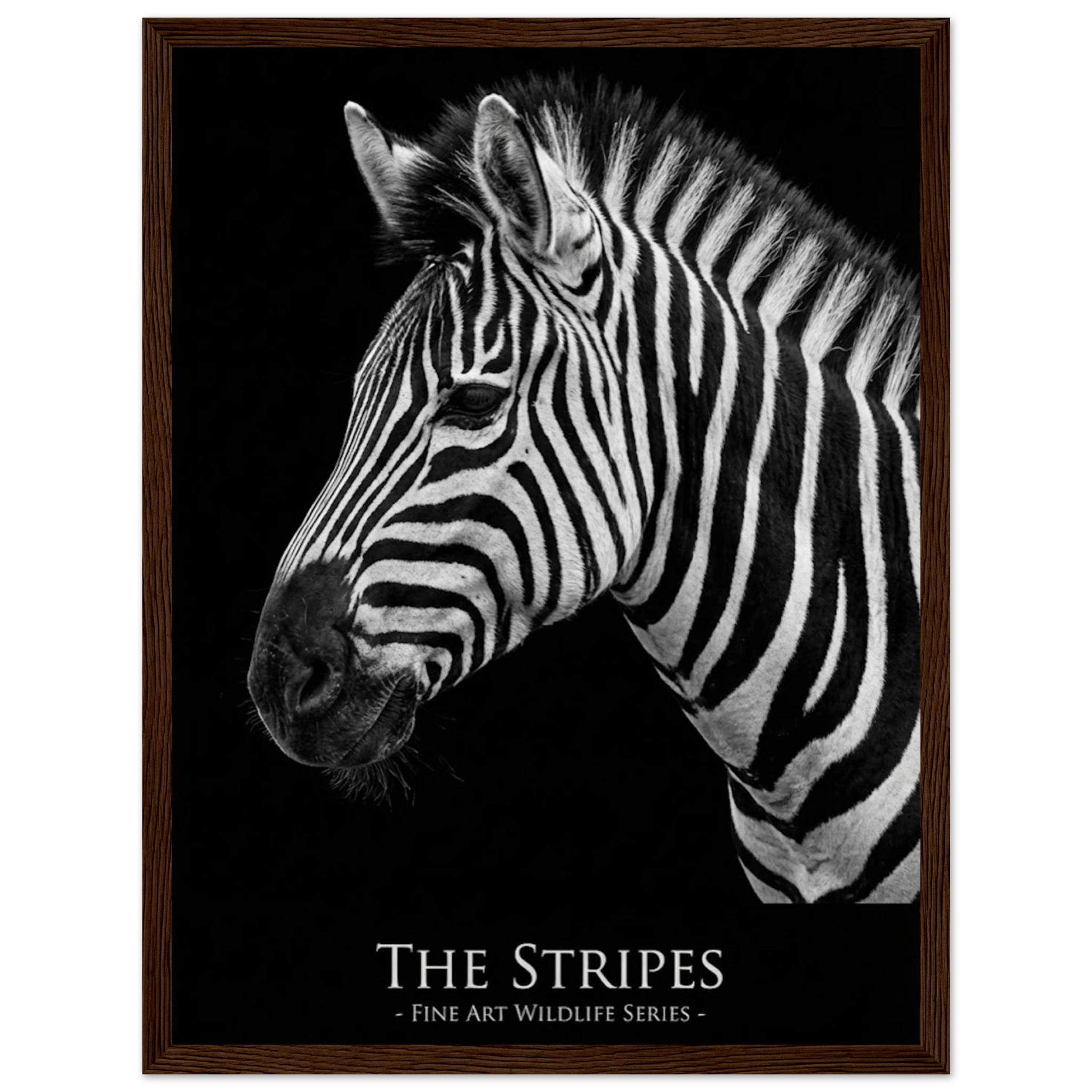 c9d16b48-ed38-4404-b569-51d958818806