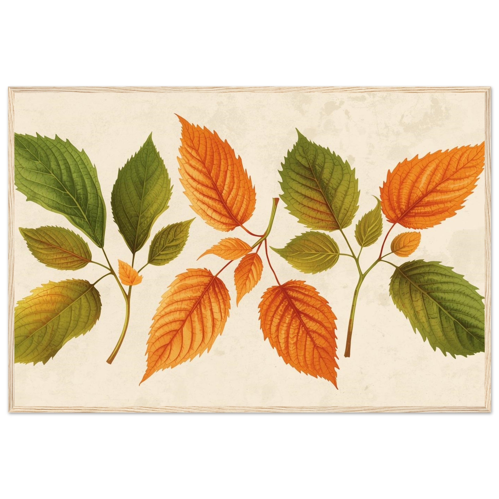 ca67df38-bd01-46e4-812d-f5219948e5ac