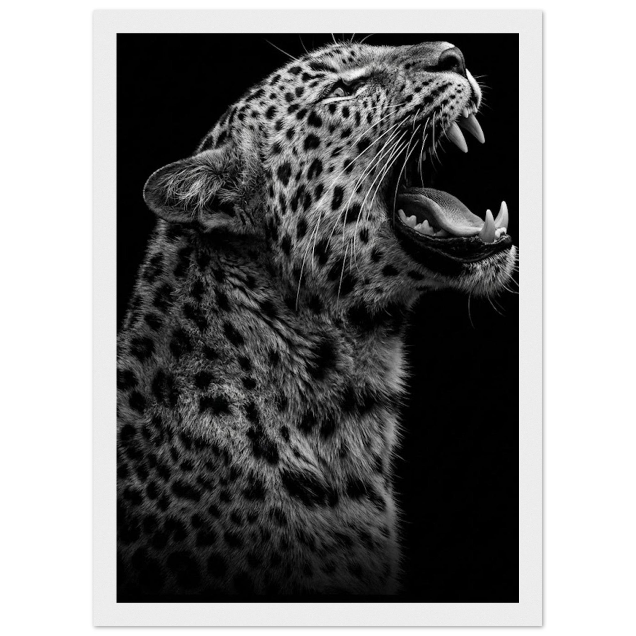 cb85bb40-c3d9-477b-a1d5-4c24dc393a38