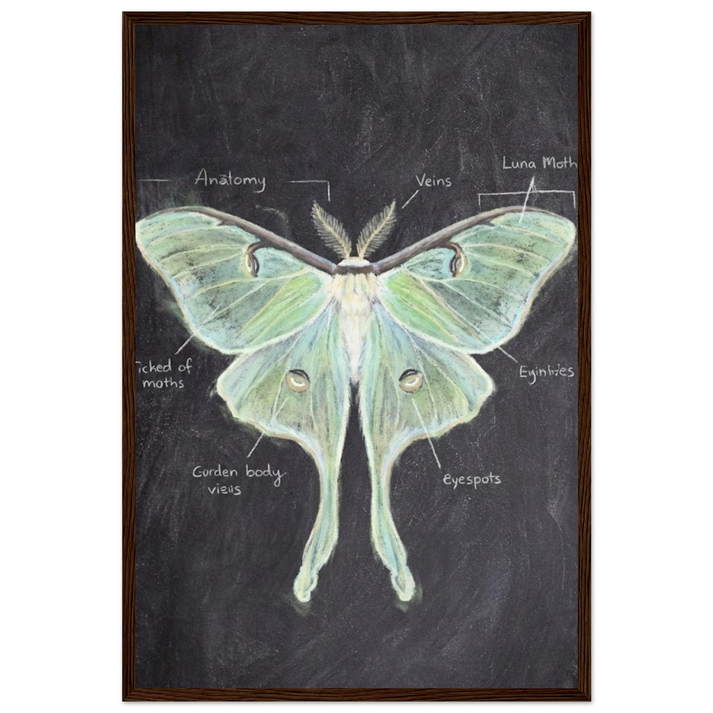 cbbc835c-672d-4023-85c8-bebaedc92eb0