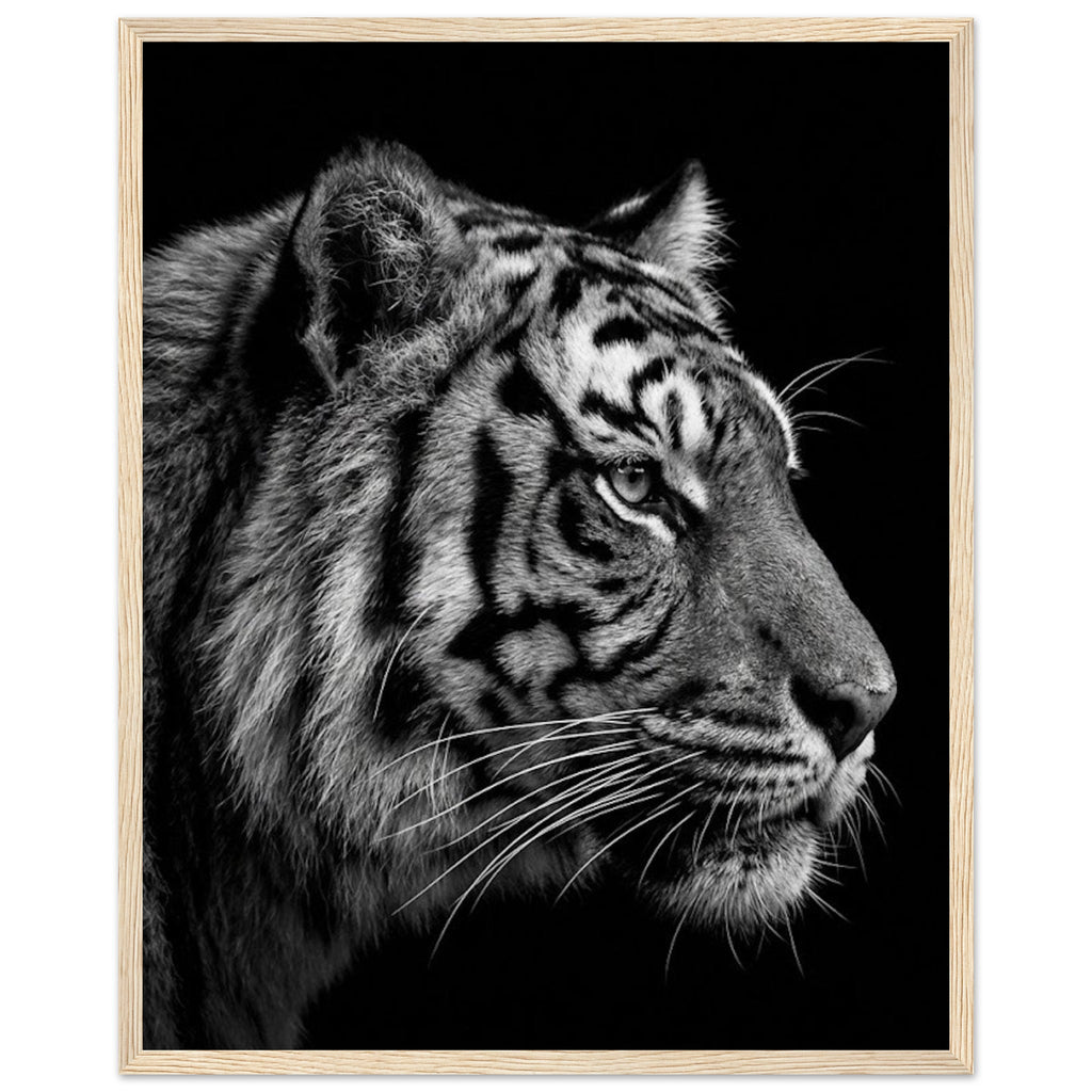 cda8e24f-1972-40c8-acd6-abb8136a5f9d