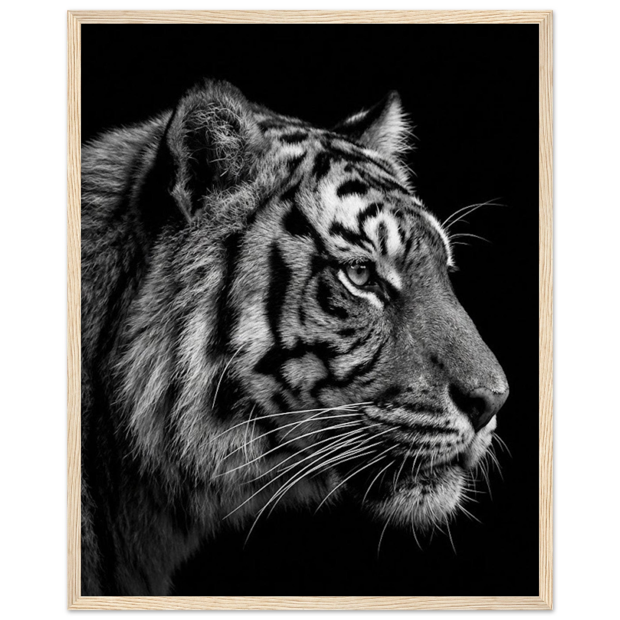 cda8e24f-1972-40c8-acd6-abb8136a5f9d