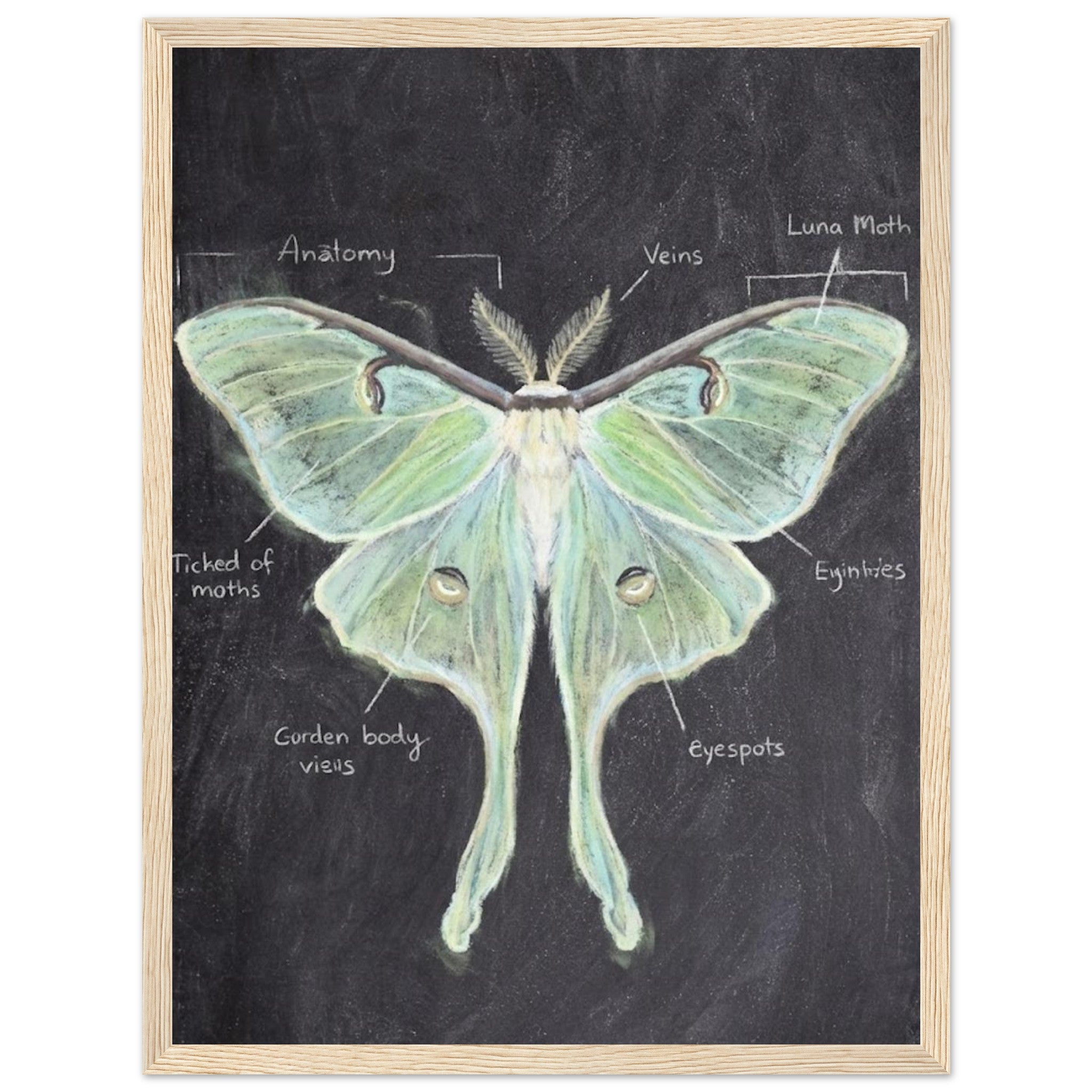 ce43ad7c-9fc1-49e4-ac0c-7818385ff5a7