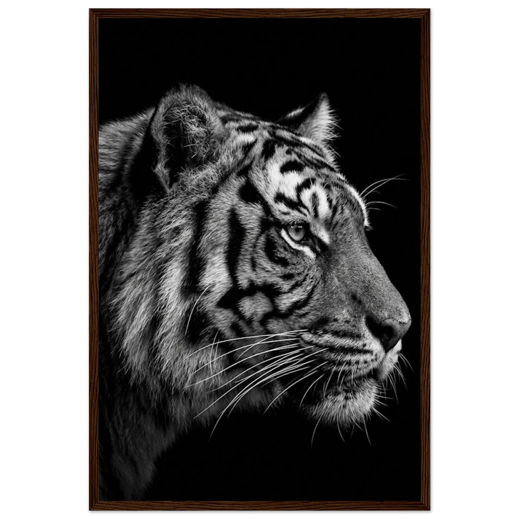 ce4a54f2-d4b2-4fa1-b629-e9e1ada195af