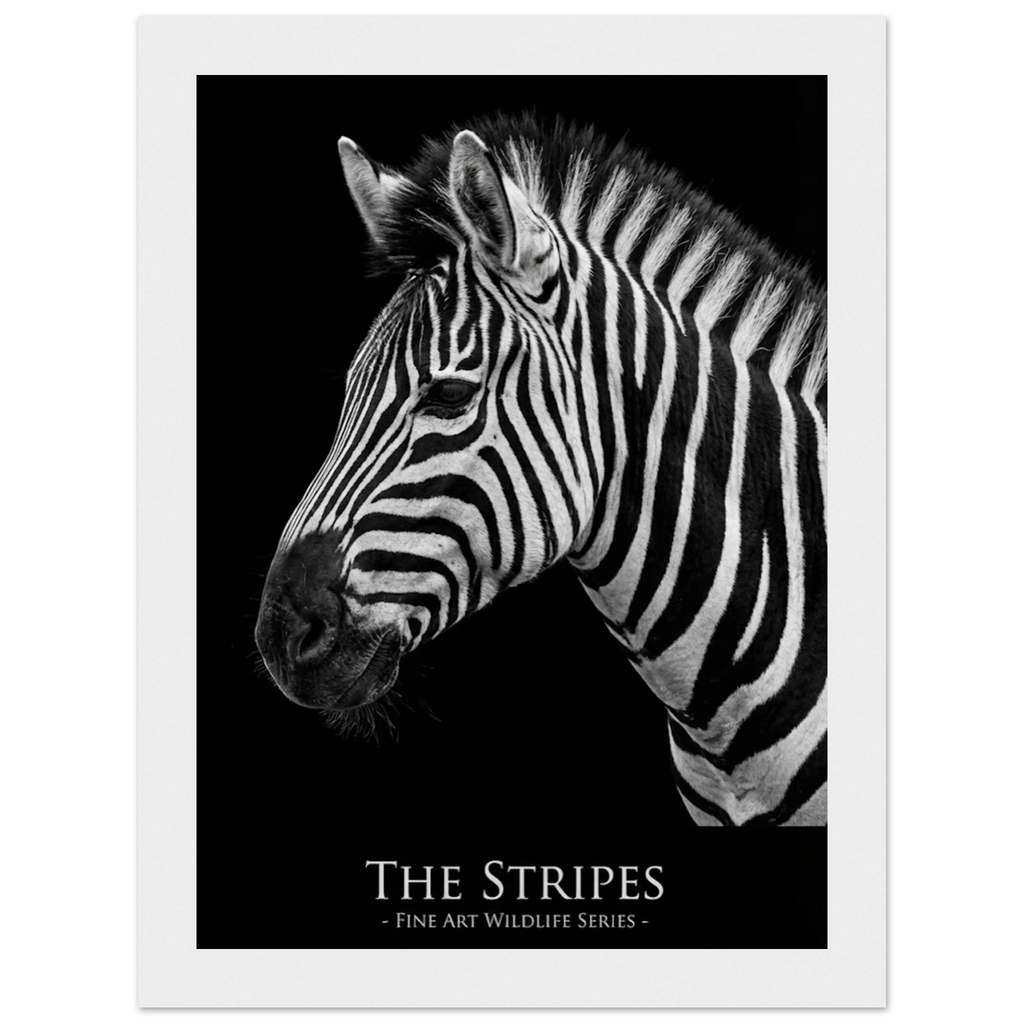 ce652ab3-dee8-477a-b73a-2d0f00279955