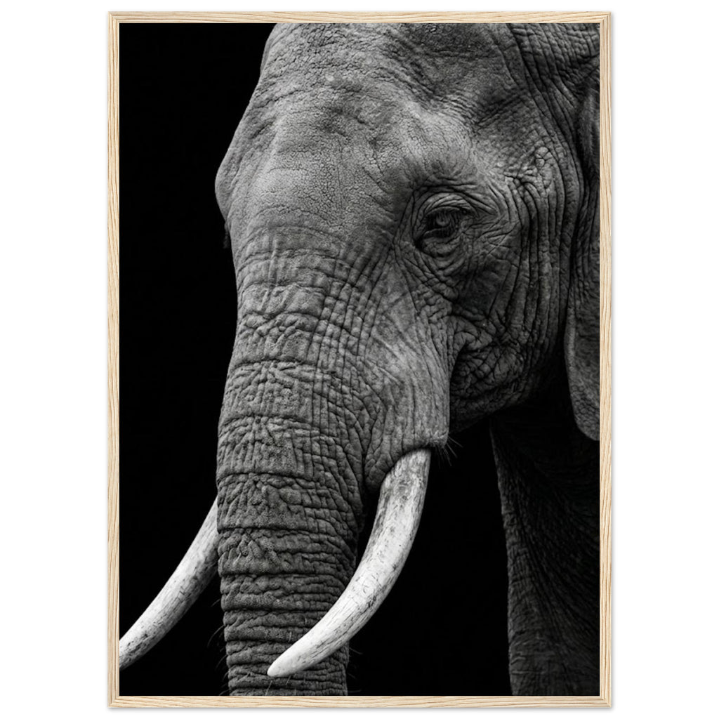 ce93f3ec-c640-47b0-aa32-6db711aa5f15