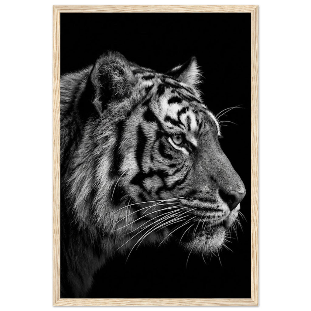 cf06d51c-abd4-4ddc-a518-25fe8748cdd8