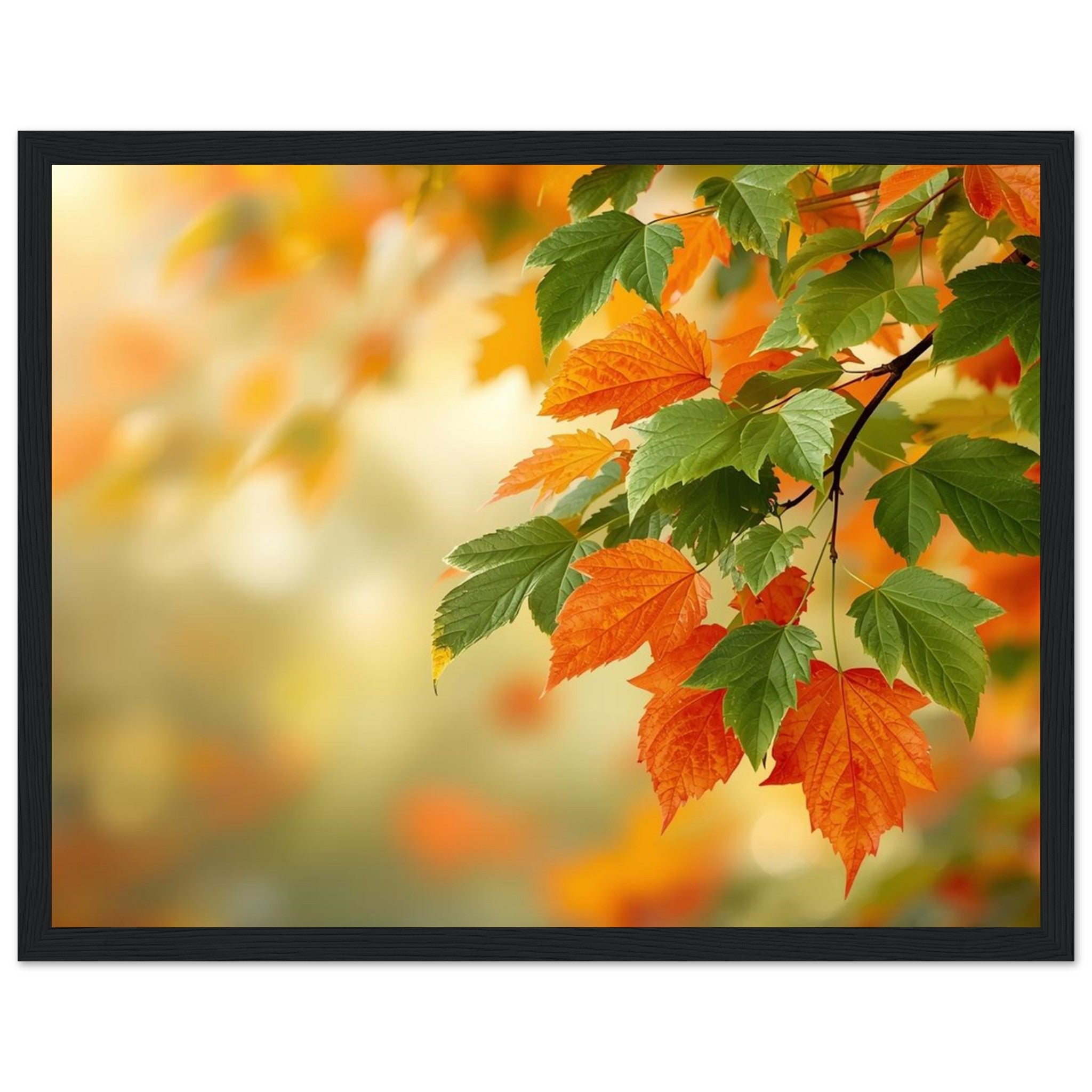 cfc47049-db98-4e54-ae36-52c727f58169