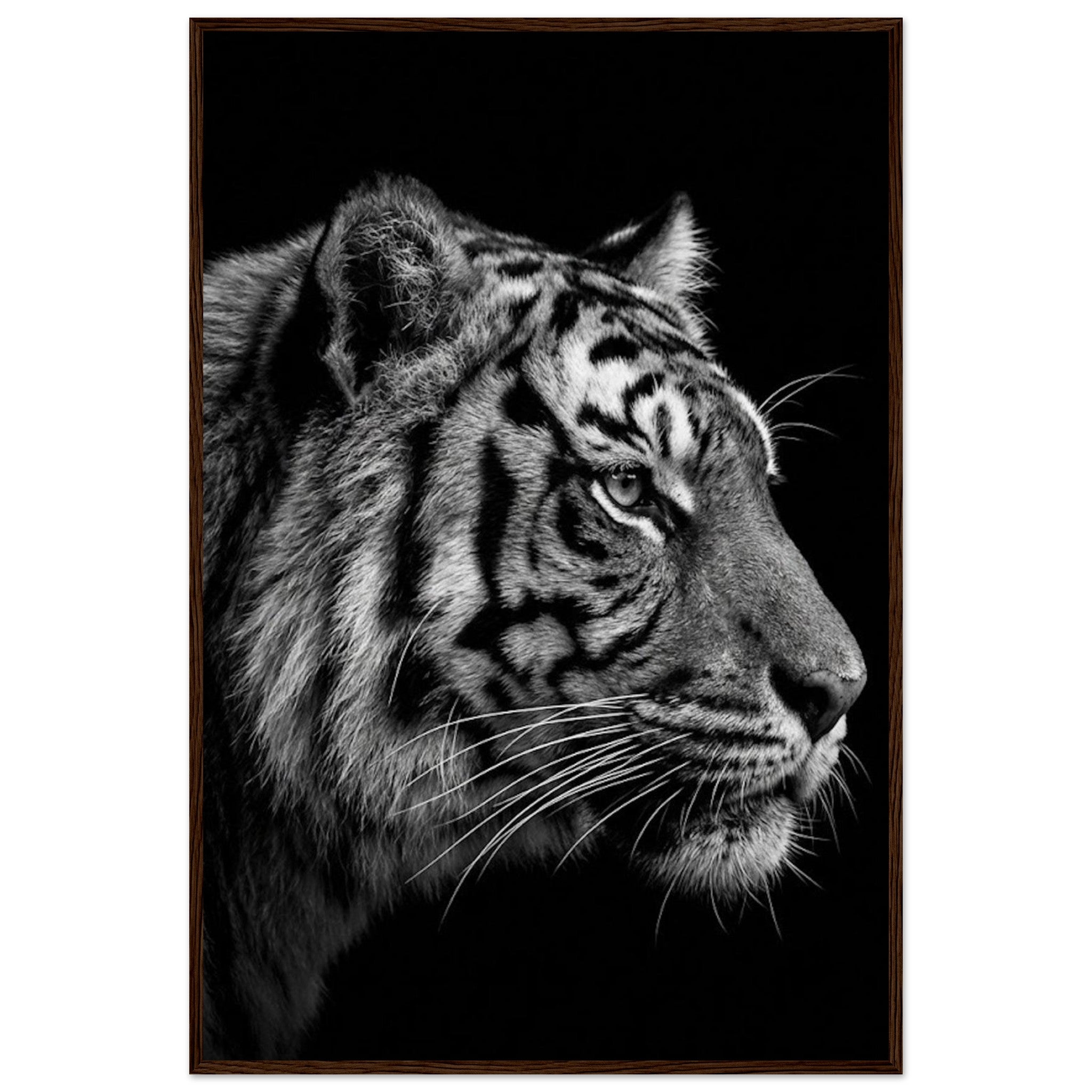 cff037f5-8f0a-40f9-b161-c062f0cde05f