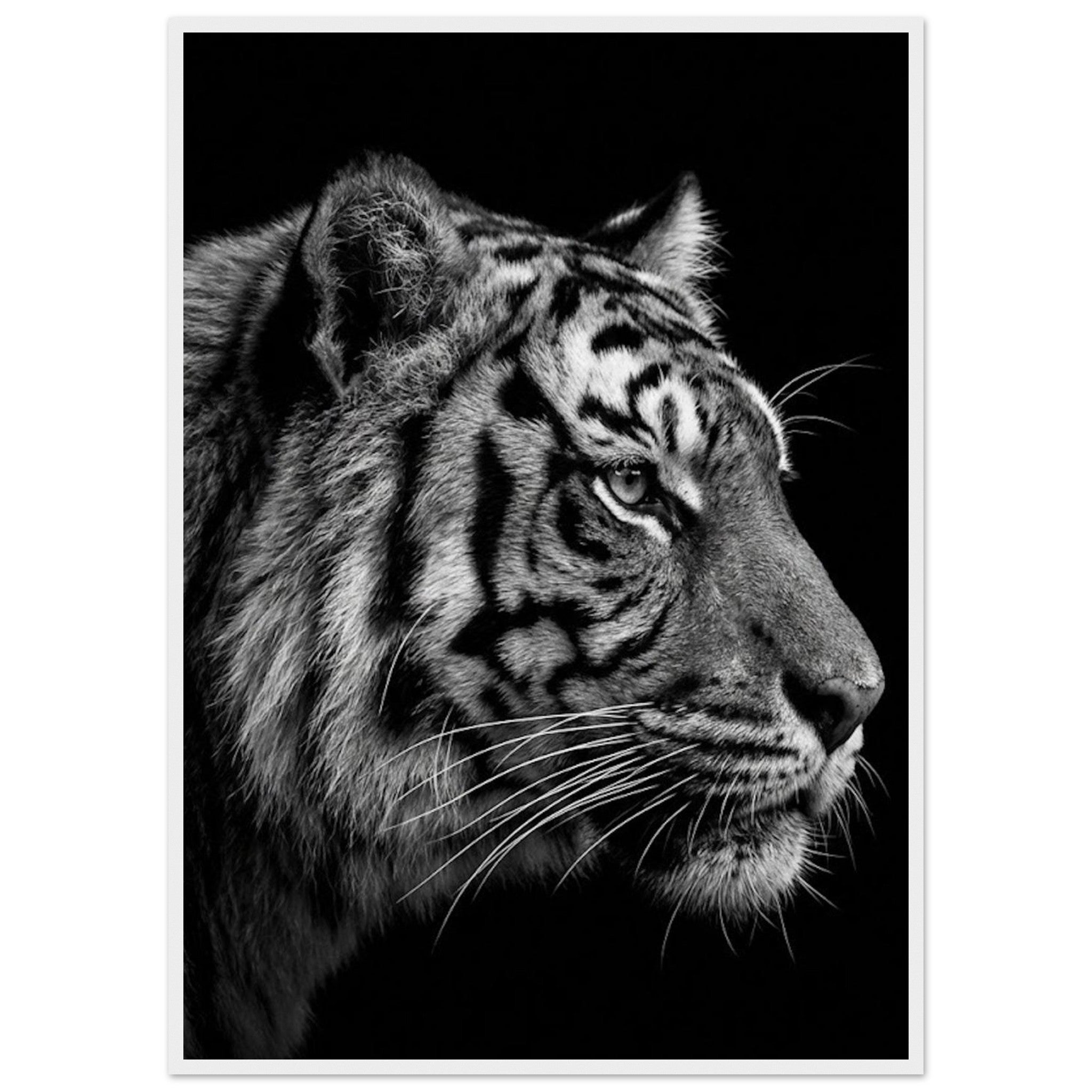 d054f0f7-6f67-4f85-bfb9-b9325ccbcf07