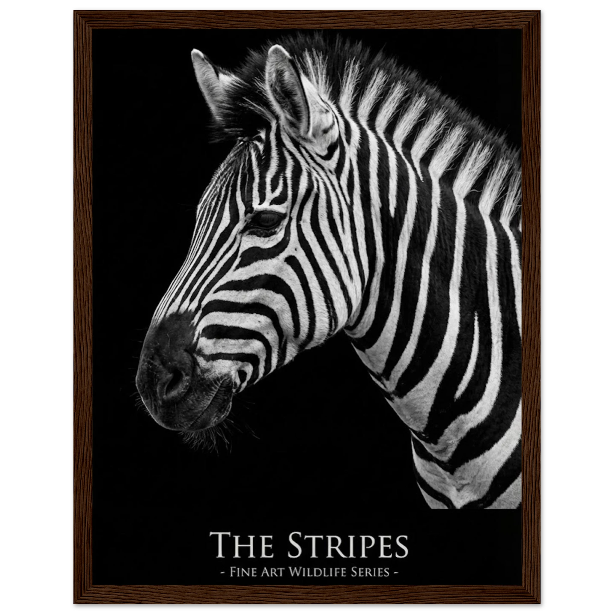 d0d1b786-b737-4670-818a-bfa7ef485b81