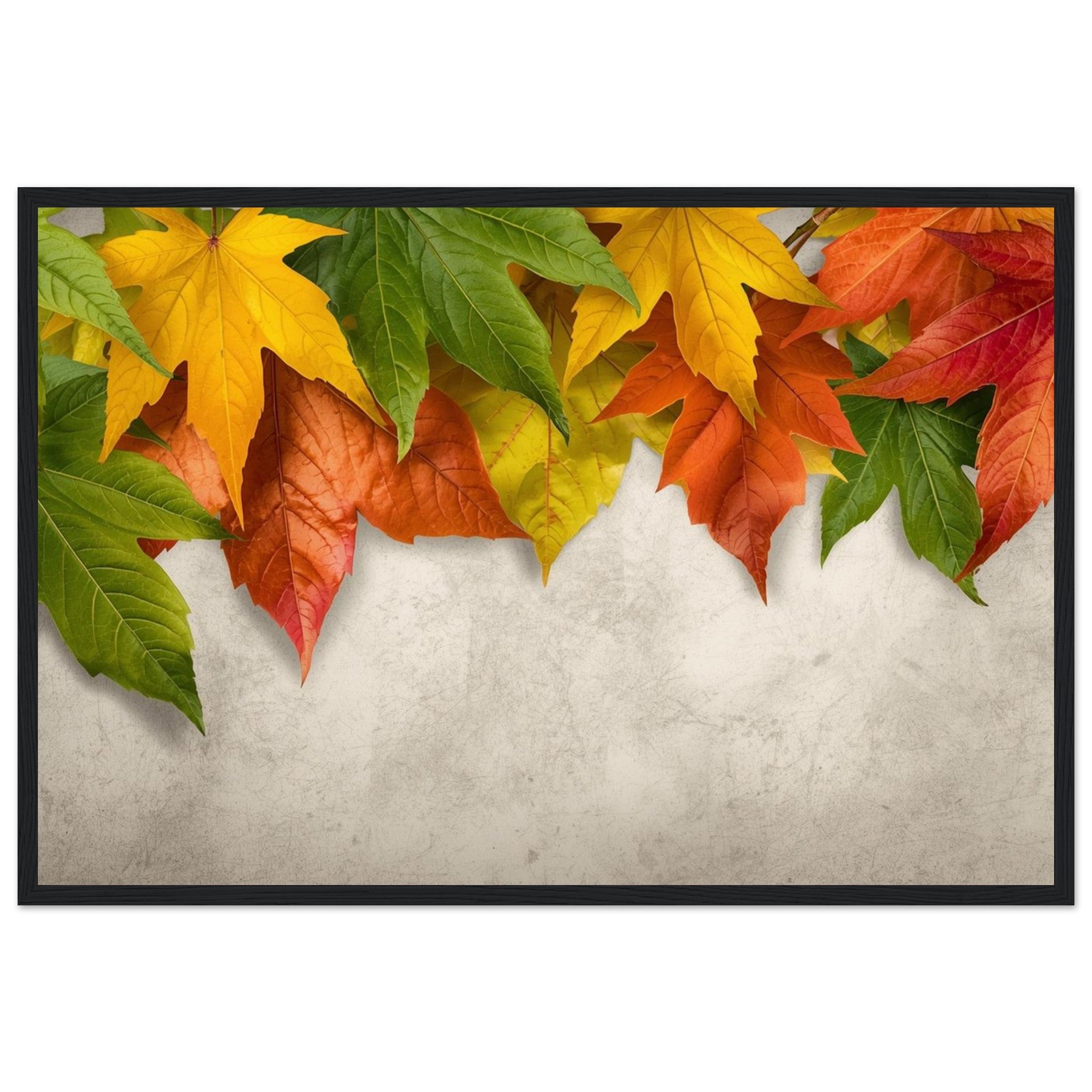 d1bfdf0c-57c5-4ed6-9fa3-7bc13aa85596