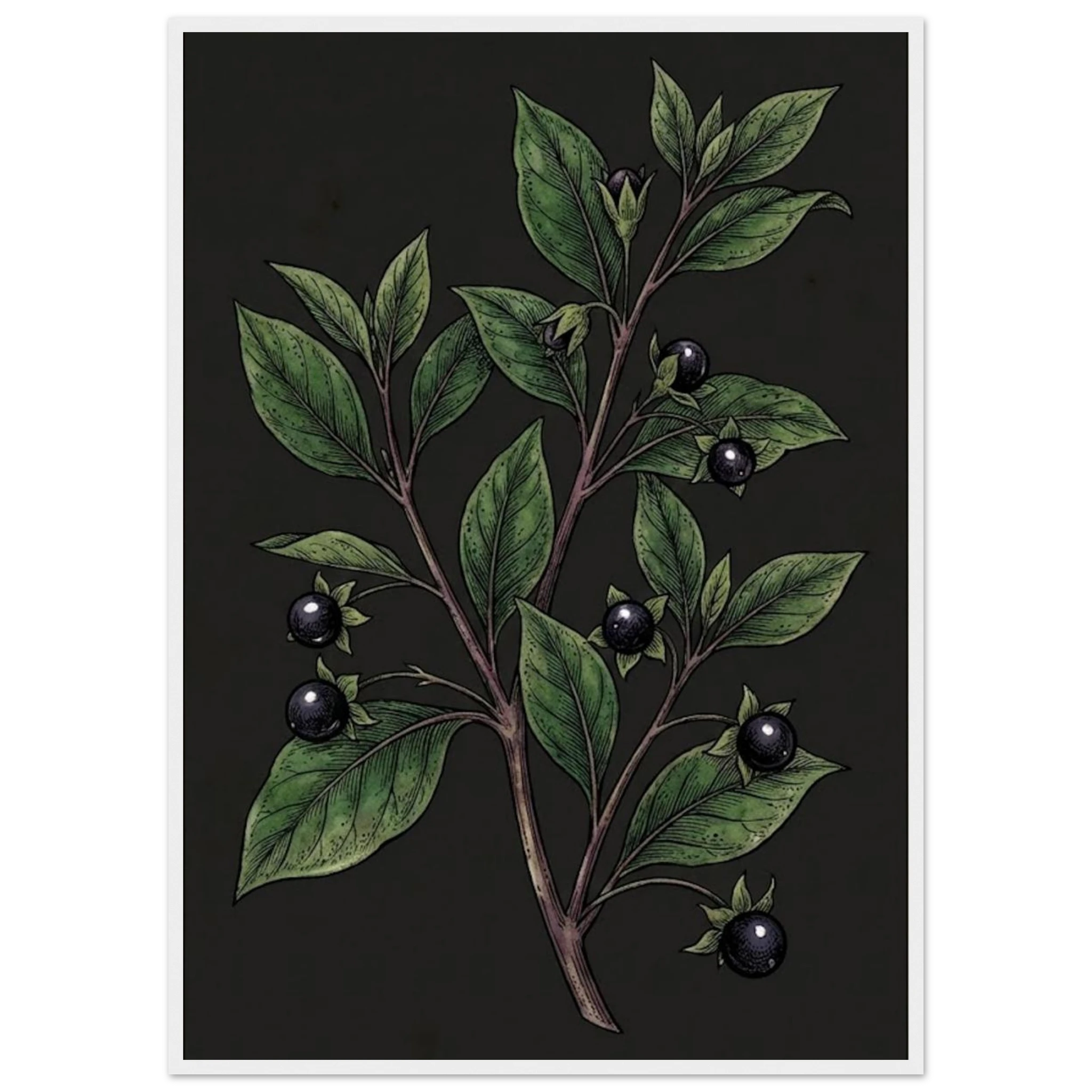 d51b632f-83aa-4bee-9970-82d5b22e3b2a