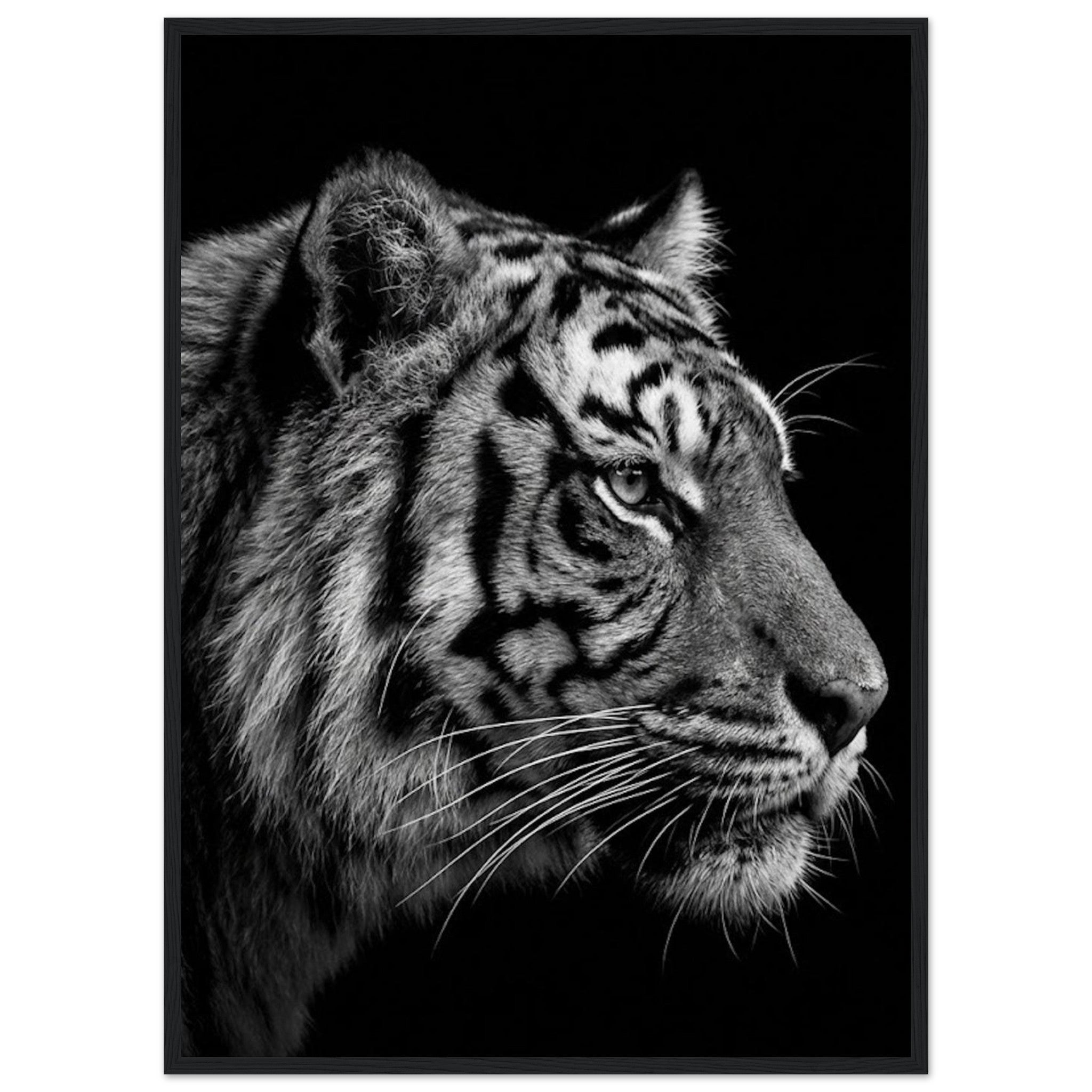 d5d048eb-a5d6-4039-89db-242971a575ec