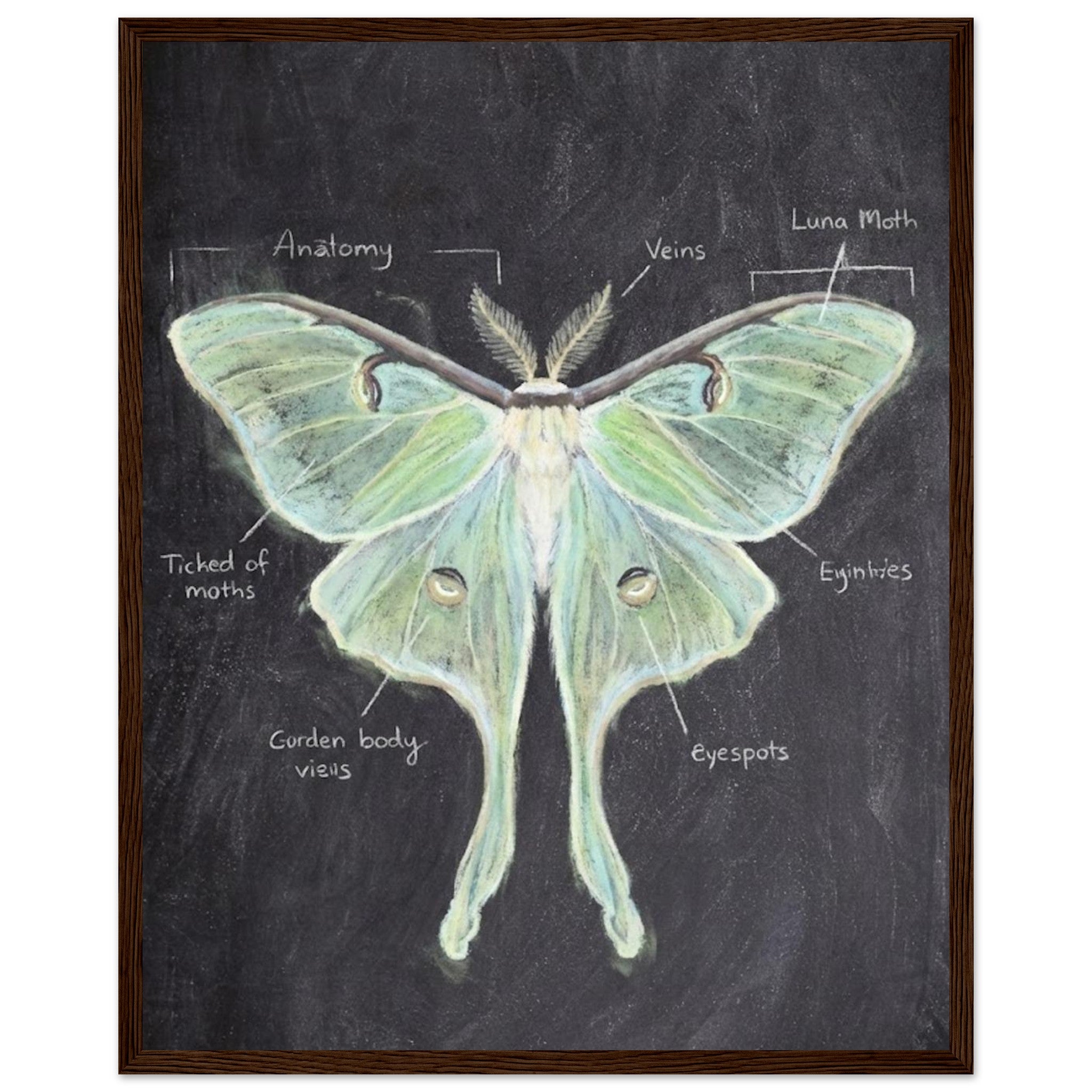 d821a9cf-55e7-4bfb-9cc3-0a08be1c9e60