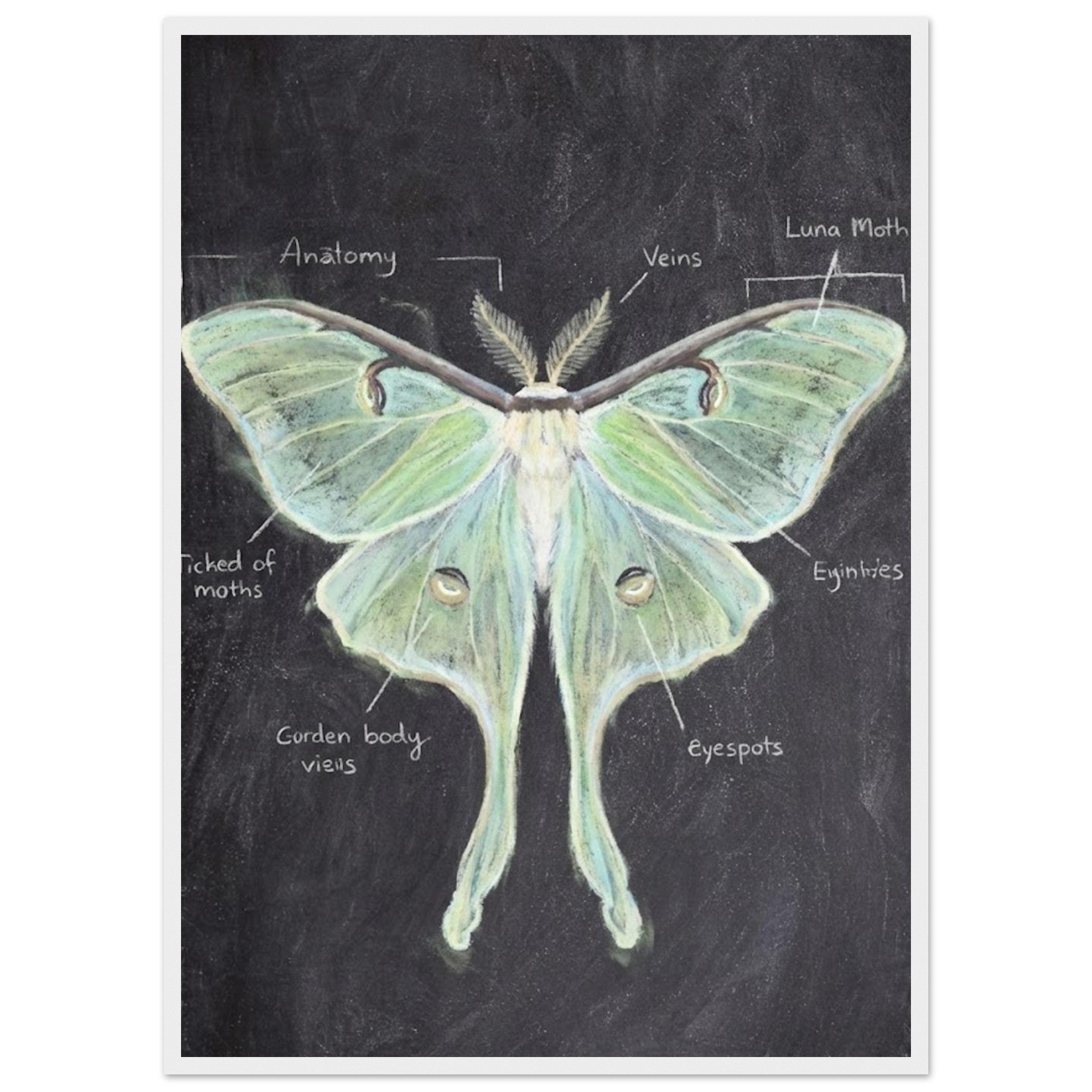 d889ce13-75e3-475b-a55b-98e77c2426dc