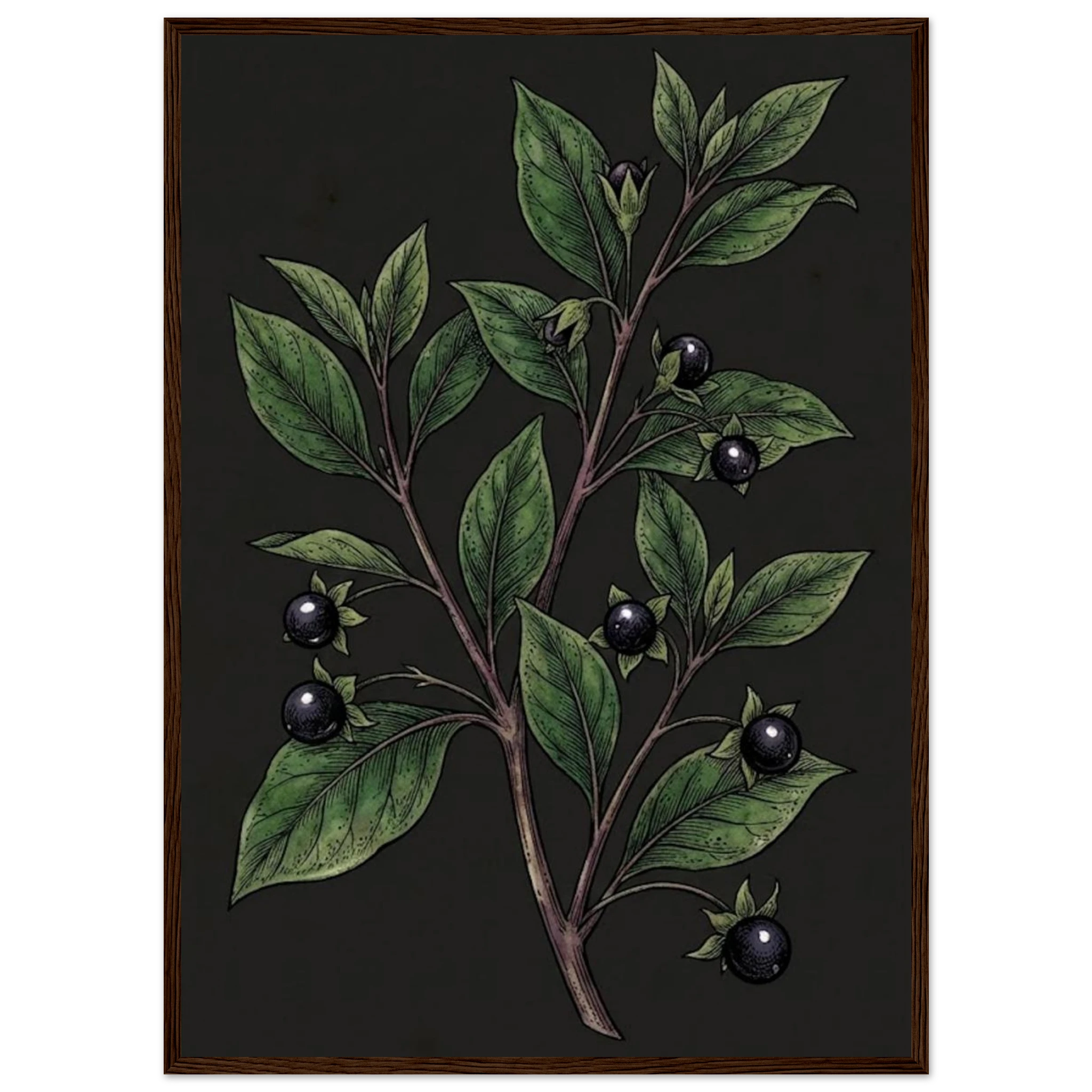 daf07485-bf1e-43e7-ad75-4ade881efc48