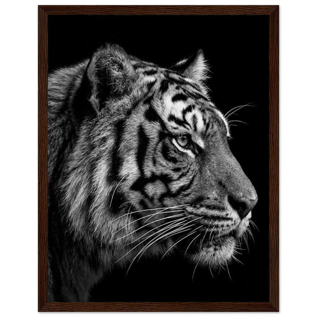 db7fe65a-f52c-431b-91d7-cad6ba9dcc55