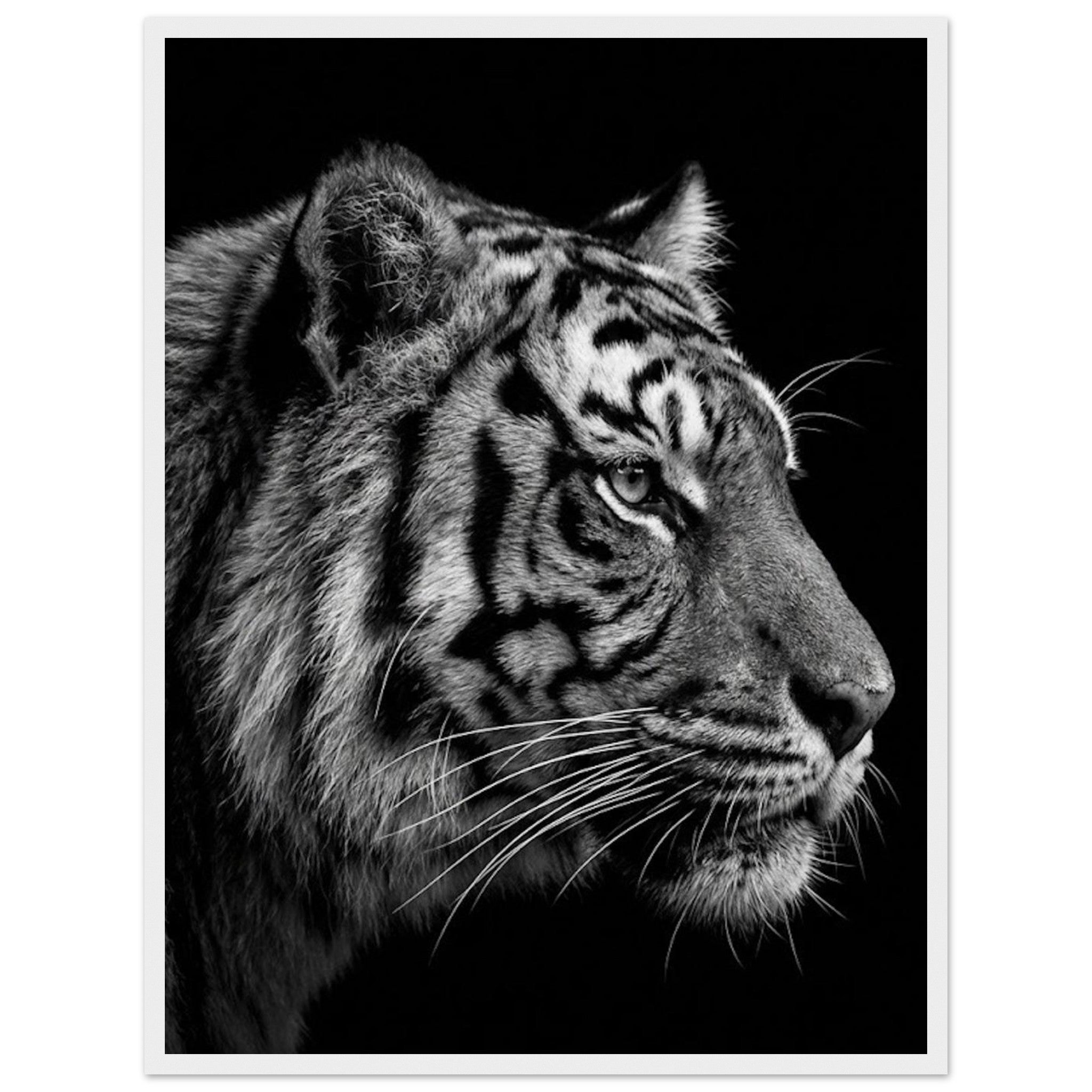 db8313fc-c976-4643-b542-fadeb61c9ffb