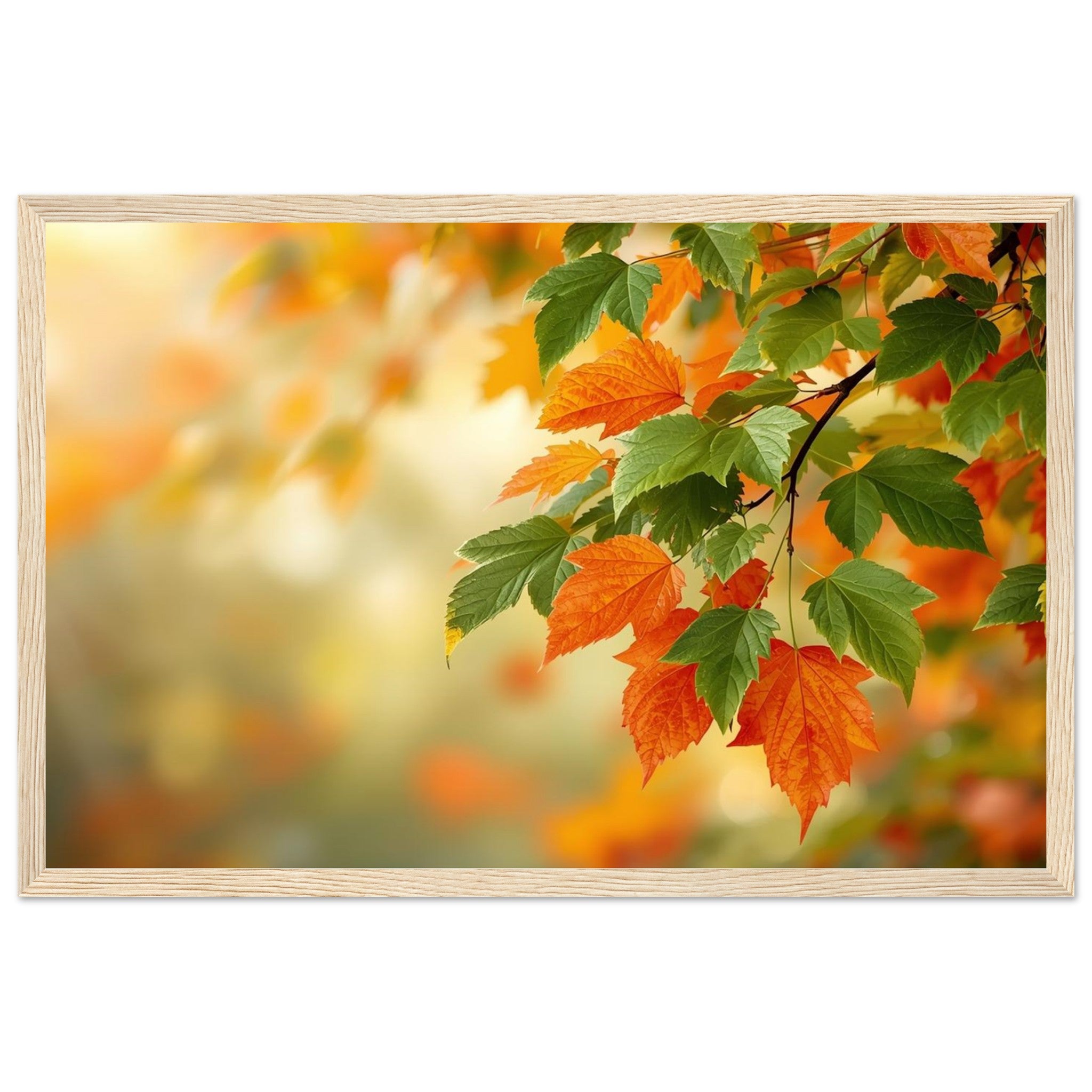 dbf25a21-2918-4760-9d56-2c6ca417ca29