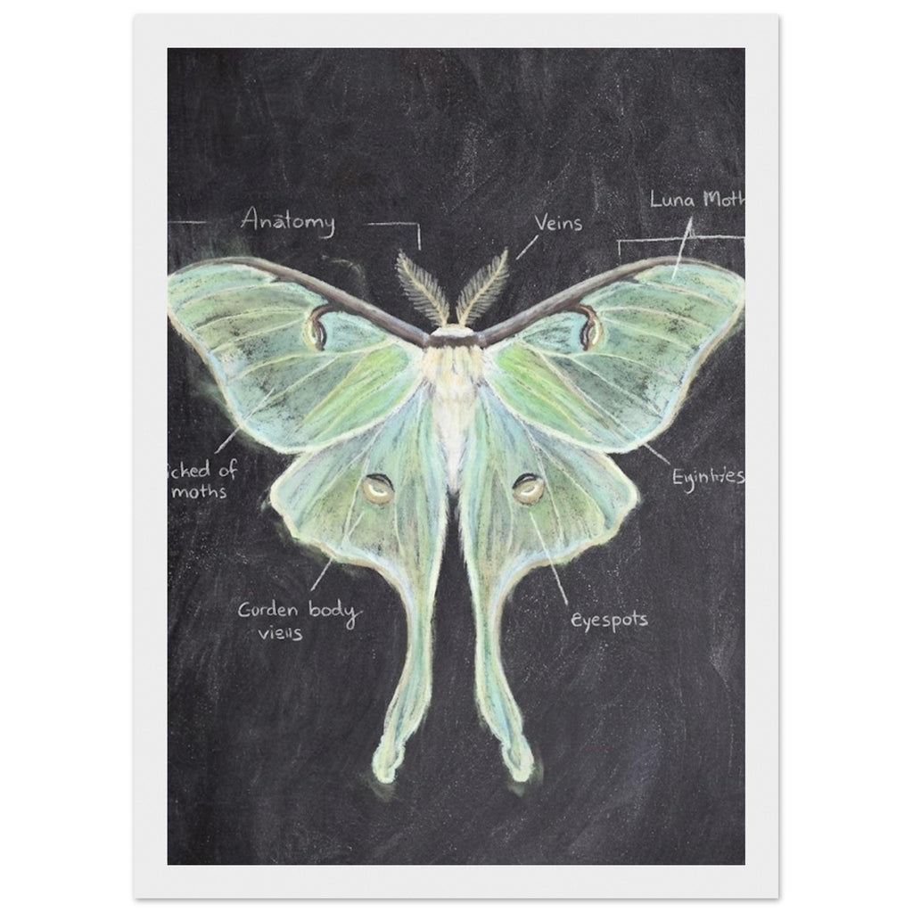 dc9bc4e0-fc5e-42f0-83e1-0c2a5e1a0ddf