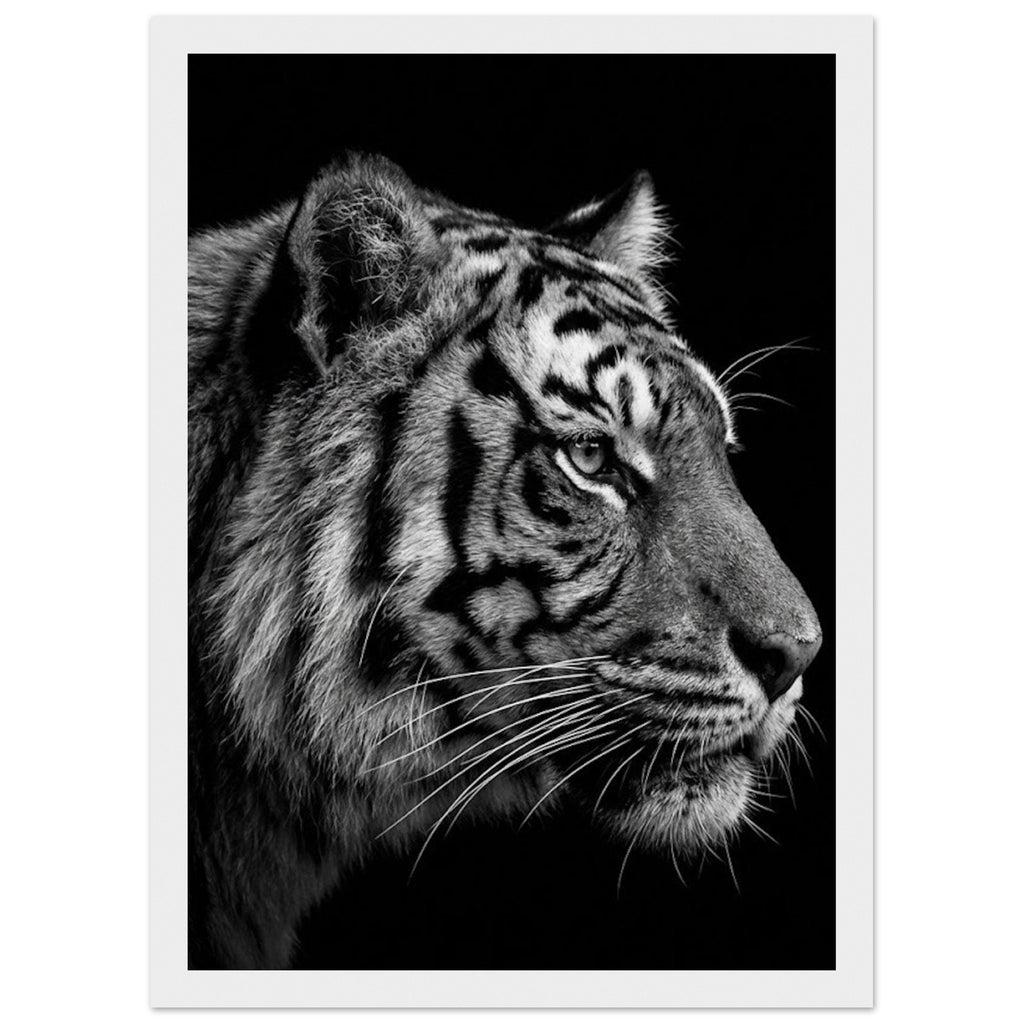 ddda6d24-445e-4ad7-8b63-8fad9cc48a9f