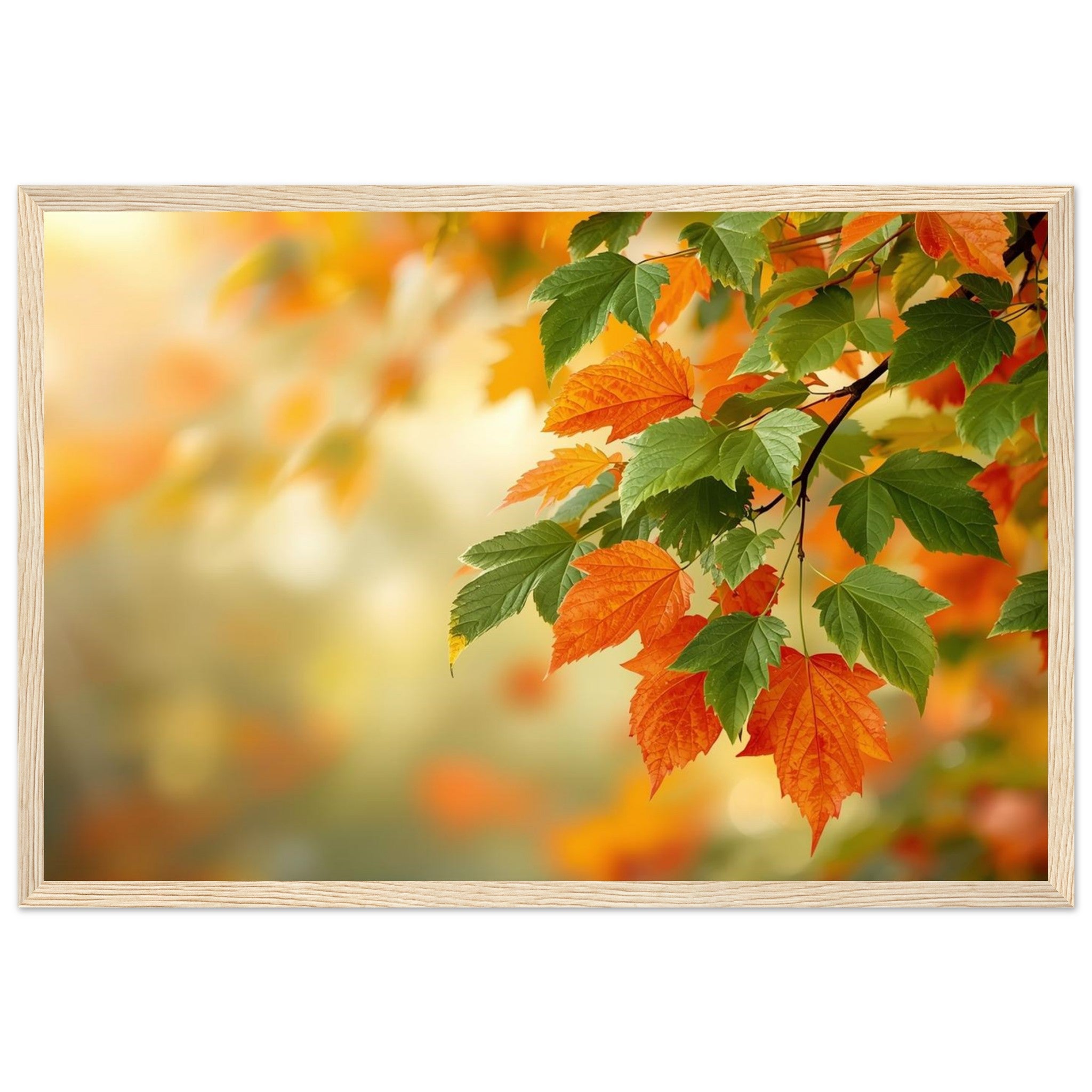 df6adcd5-038a-4d95-b3a0-89b1311c9ff0