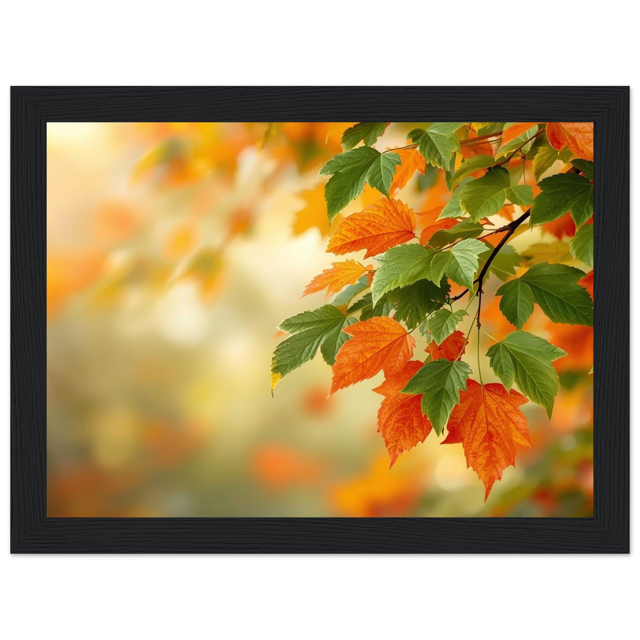 df7162a2-cd21-4807-904d-5ee6f019b68b