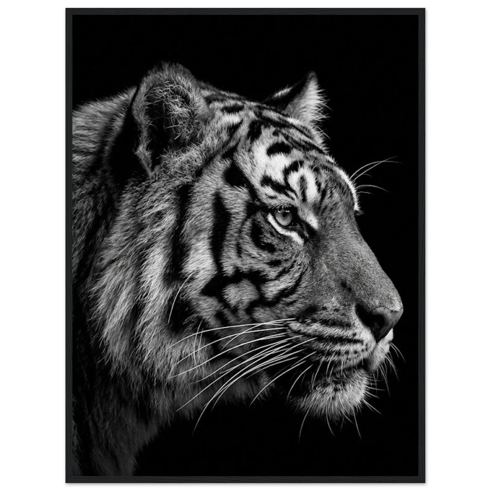 dff220f1-644d-4948-b31b-553f8339d3f9