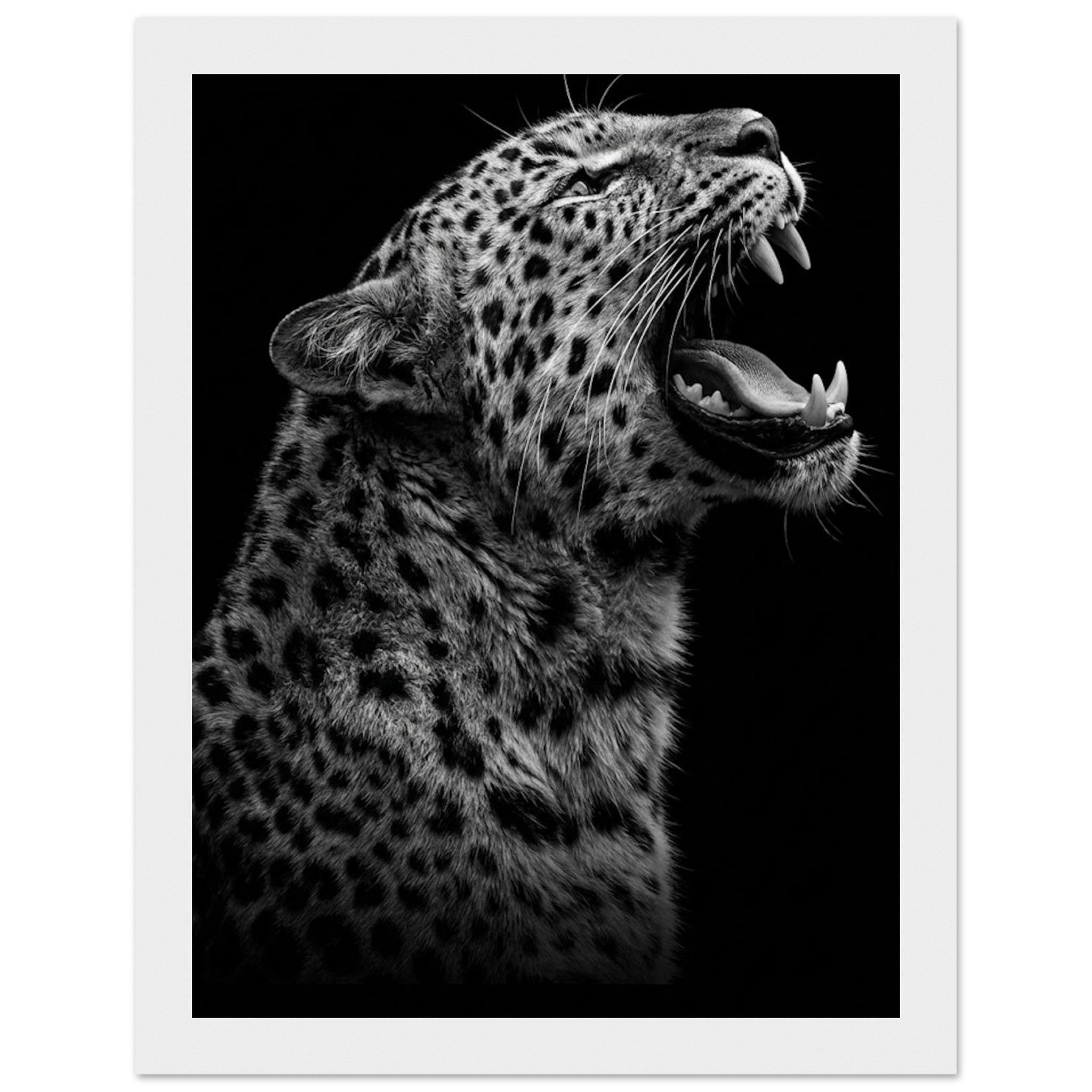 e382bf06-c0bd-4b8c-bd70-efc5f8915e13