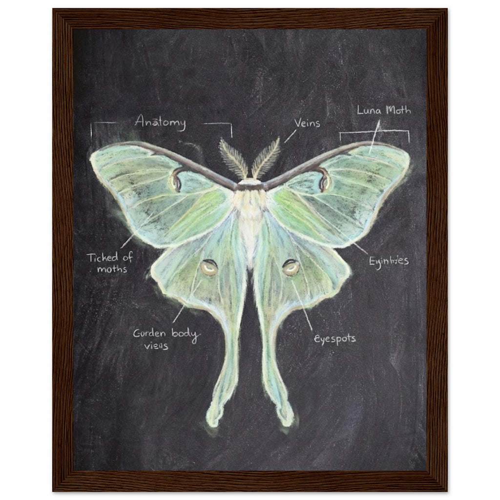 e3f3630a-5d25-48f7-9731-cb175880f222