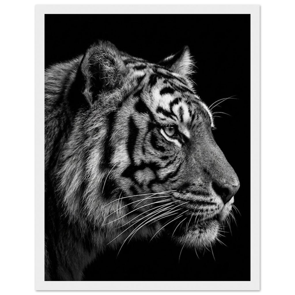 e53ed458-4b9a-4c77-be21-7e65af2436fa