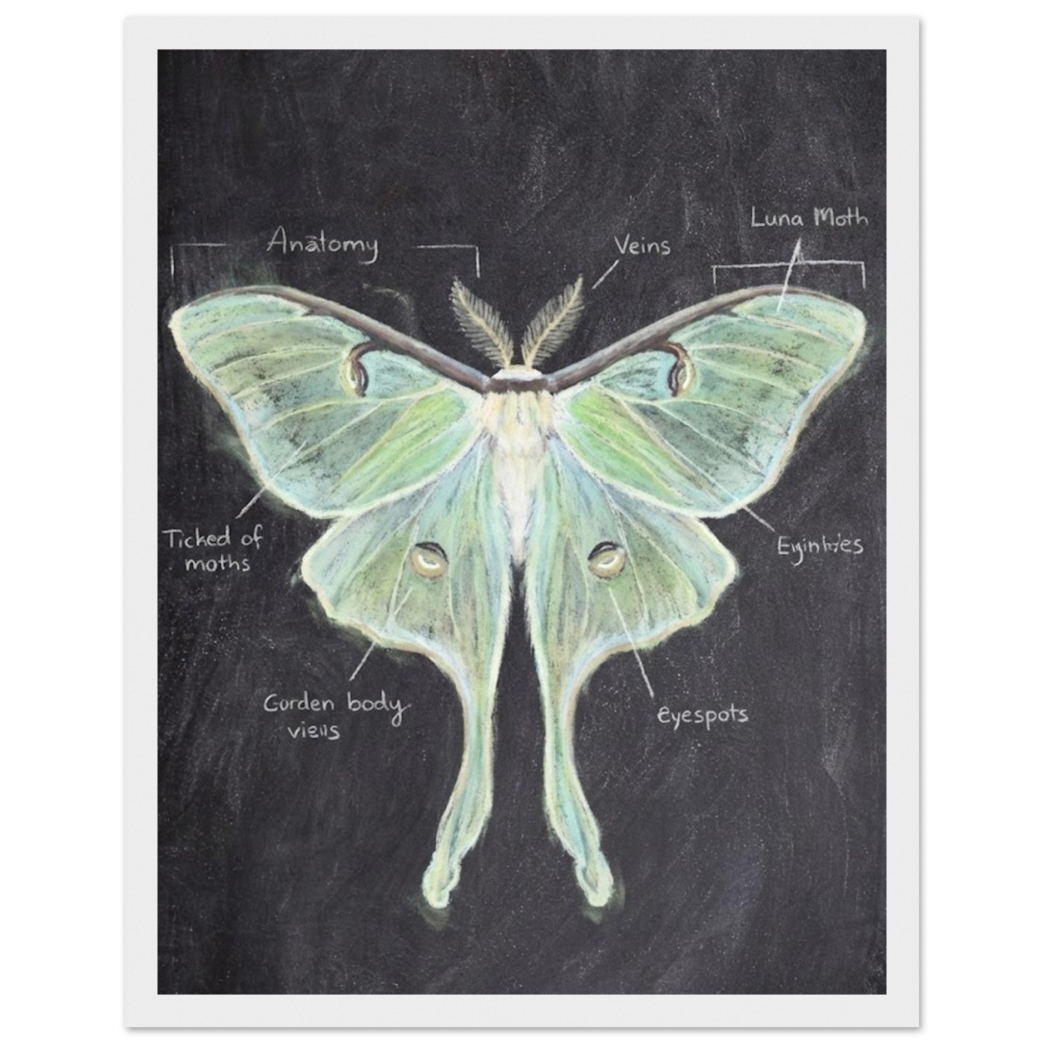 ebcd228e-7447-4c87-a180-cab9005ed340