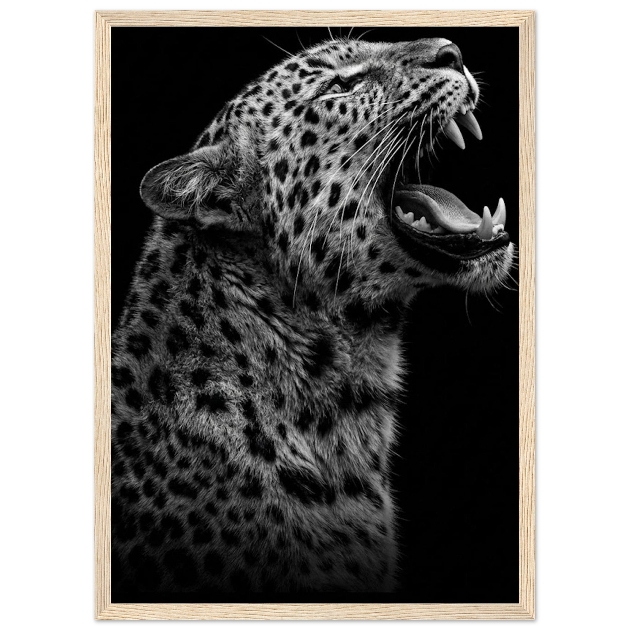 ec7391d5-addd-451d-a624-8294d5548cd1