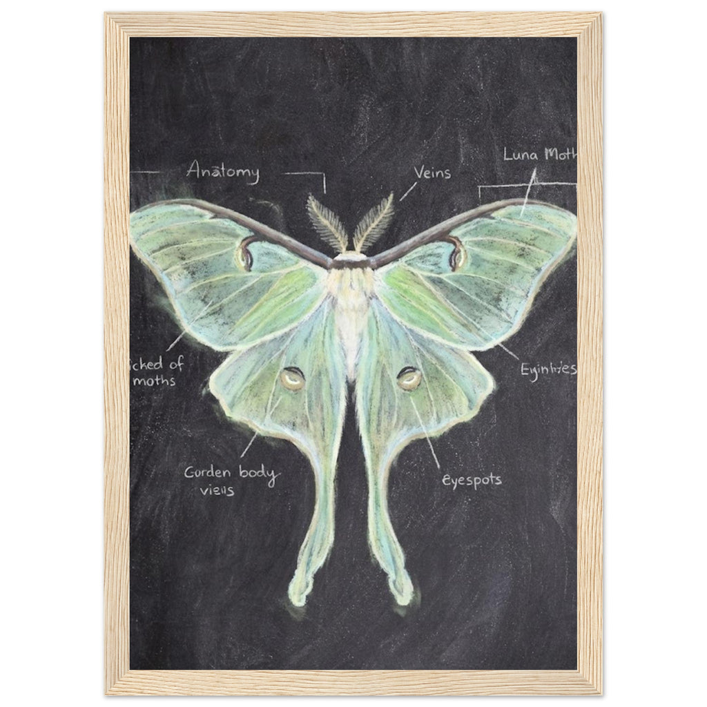 ec7e7549-65c1-427f-b3ca-85c8cbbfcefa