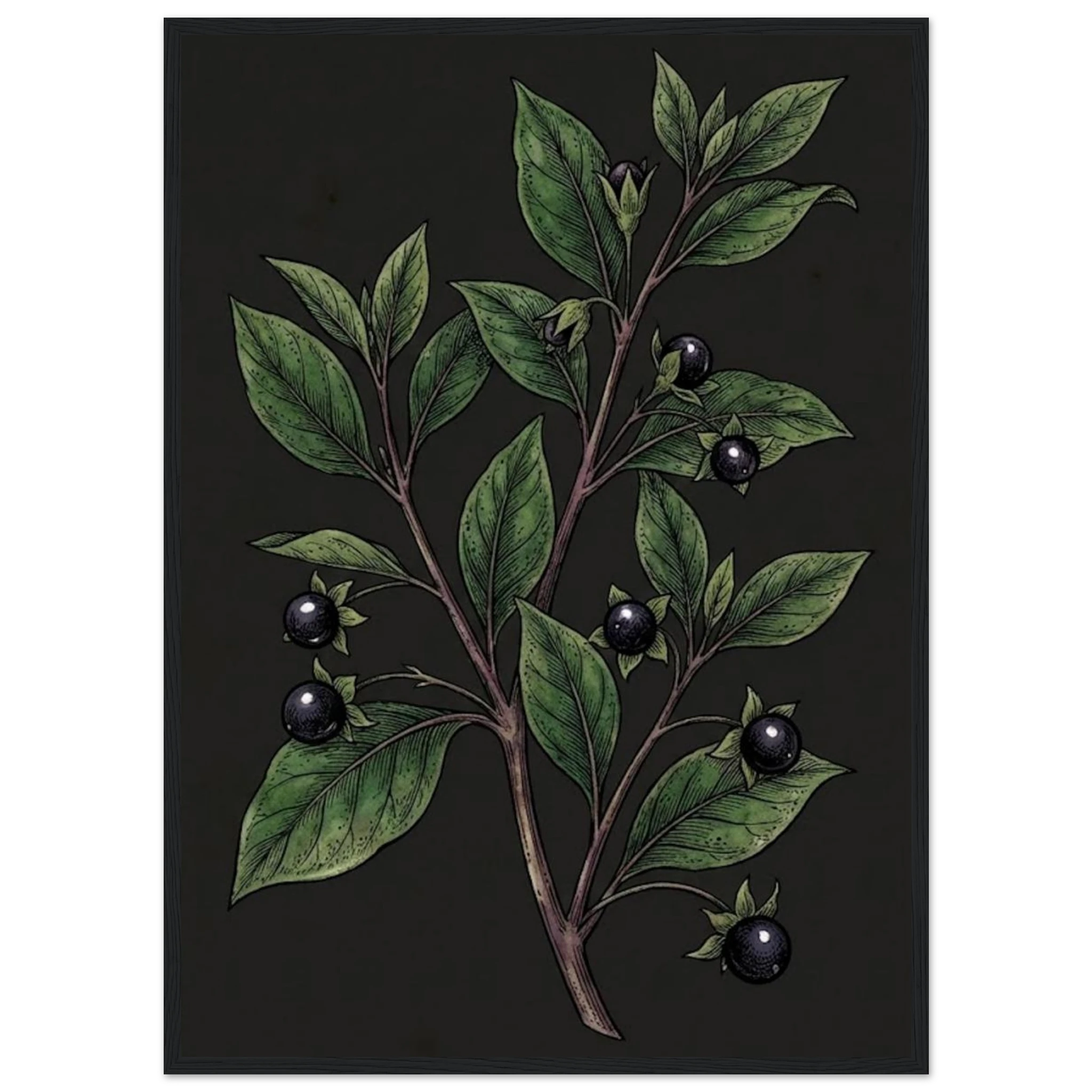 ed031b49-eae7-4cba-8500-63eeecafc78c