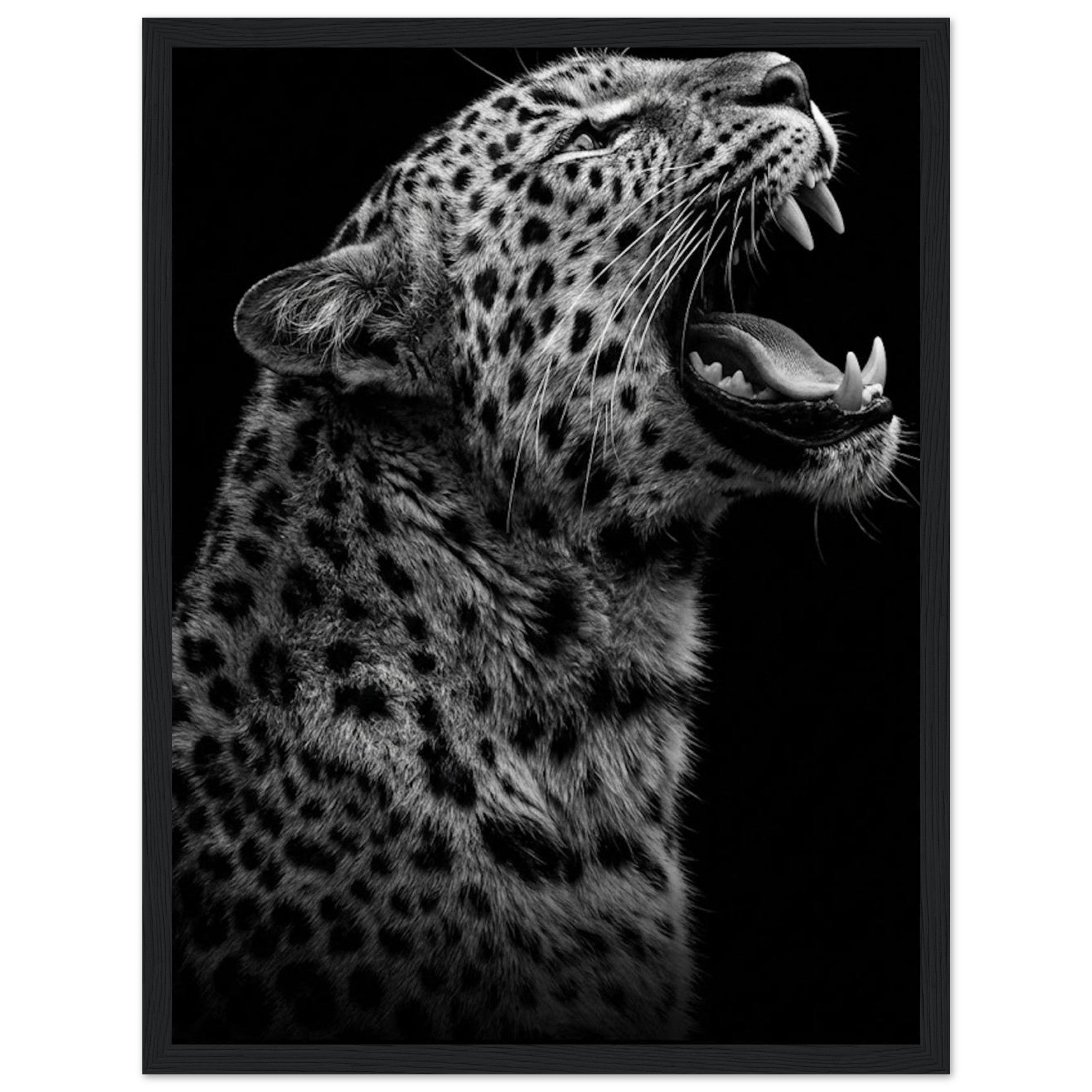 ed648104-a6df-4ee7-aba8-a12d117e8f20