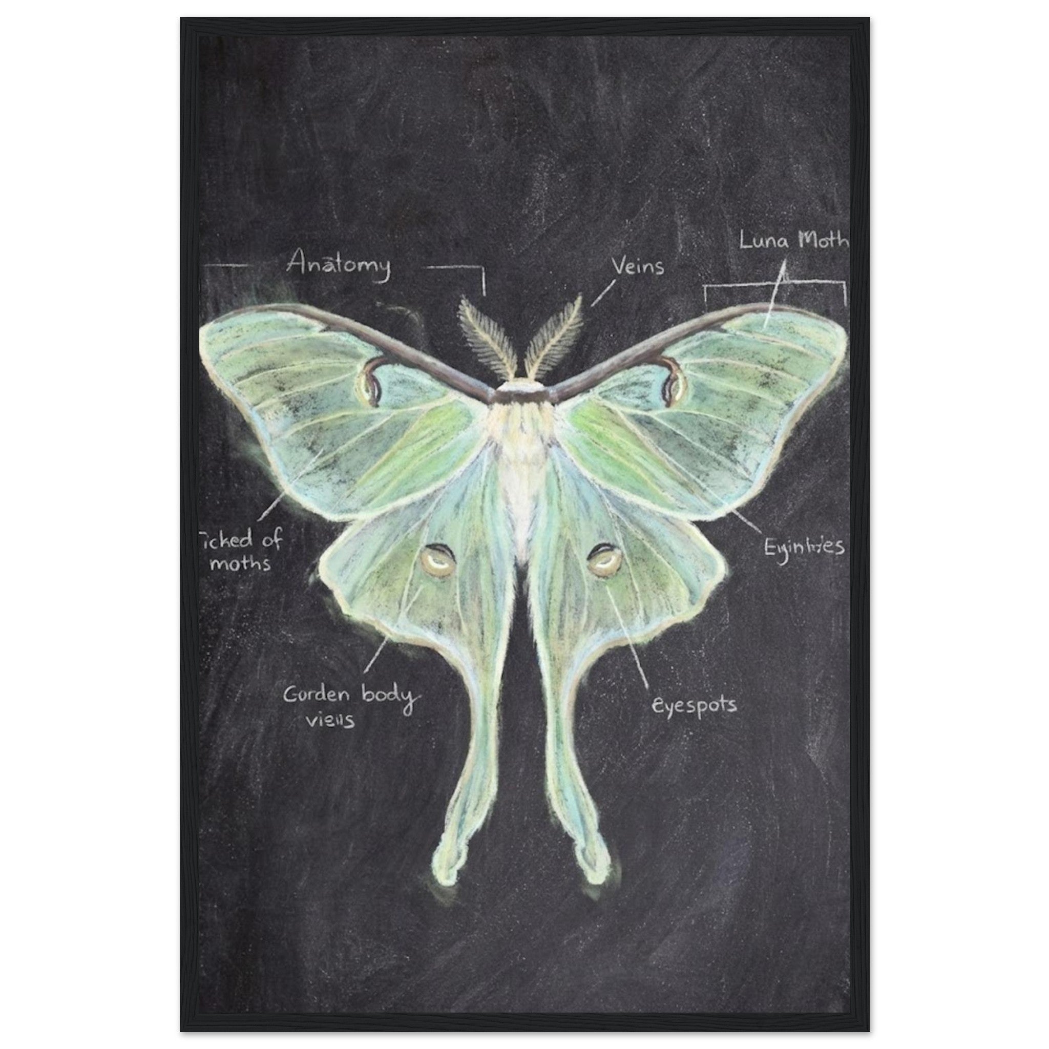 efc89001-707c-476a-943c-525d75f8ef36