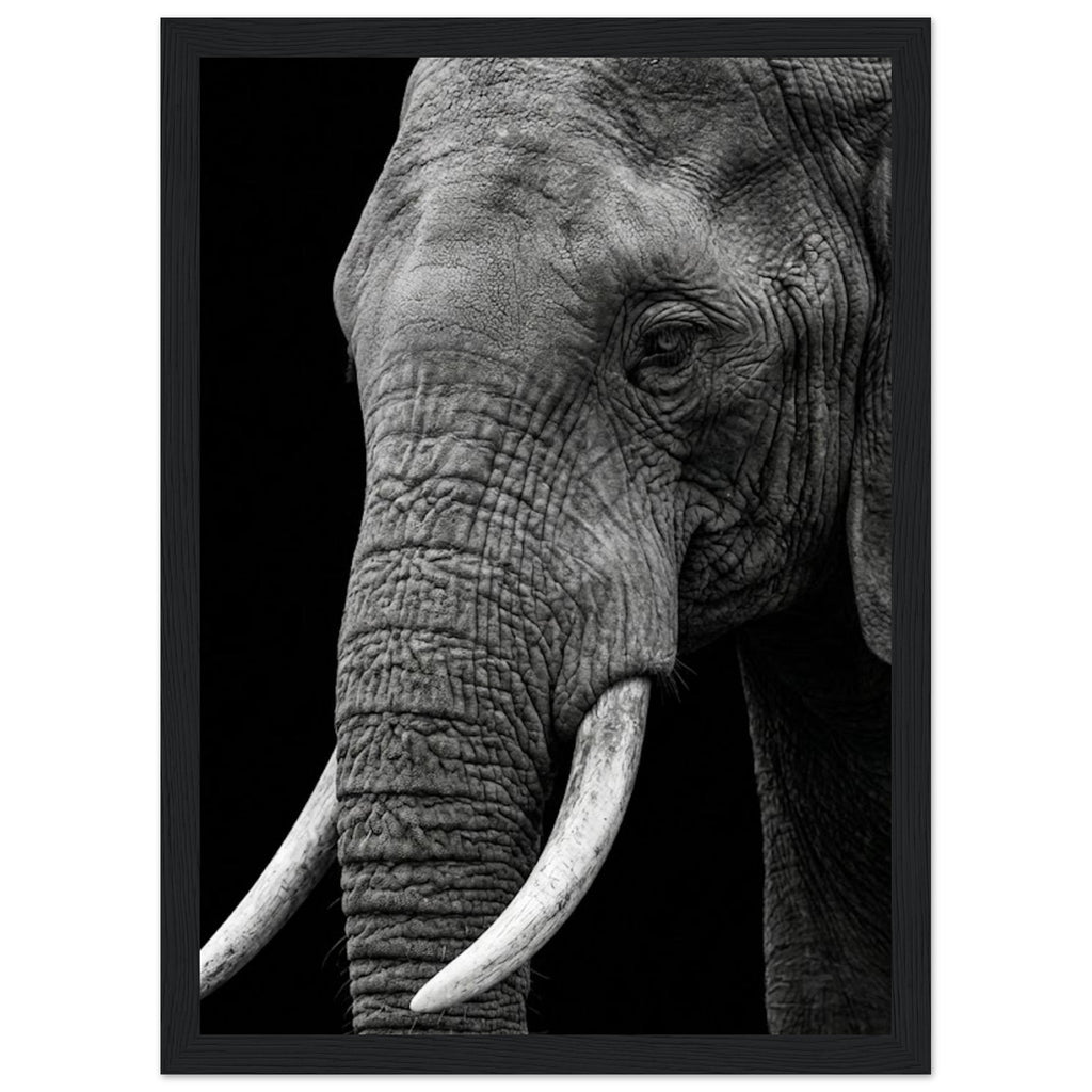 f04bdeca-1b32-4f62-ada4-6f36b26f1318