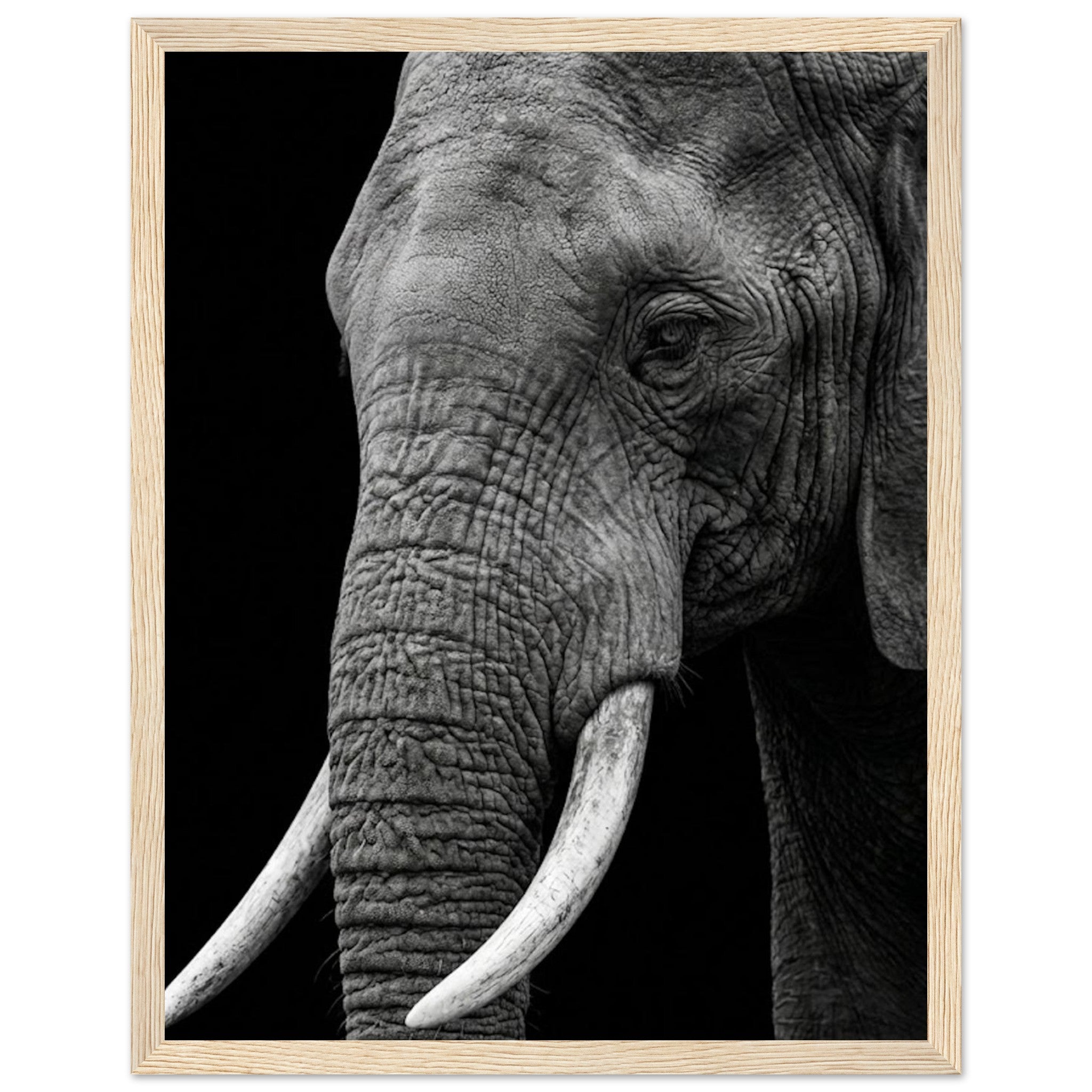 f2b2ef03-399b-441d-a7a8-c3fb630eed30